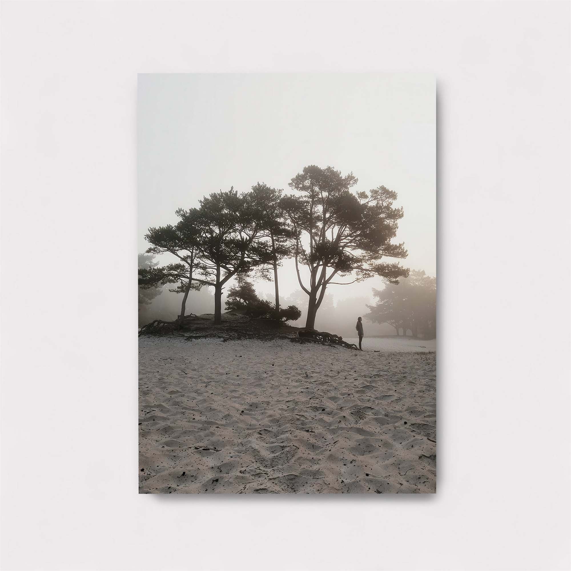 Misty Solitude Safe Wall Magnetic / M