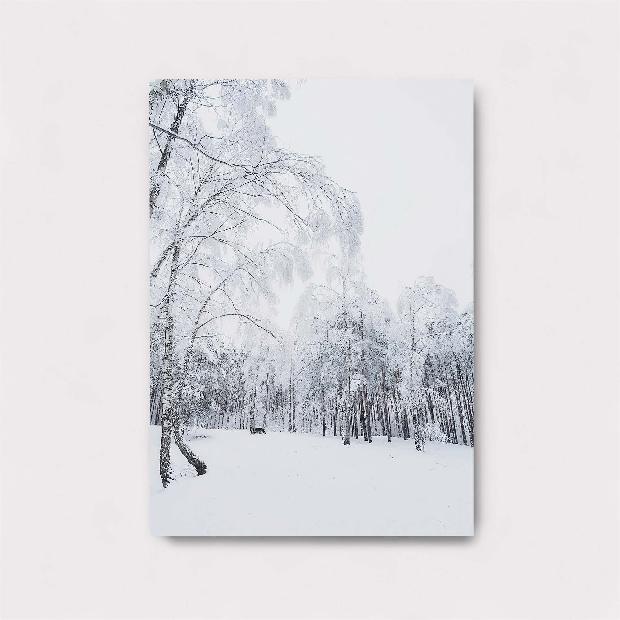 Winter Whispers Safe Wall Magnetic / M