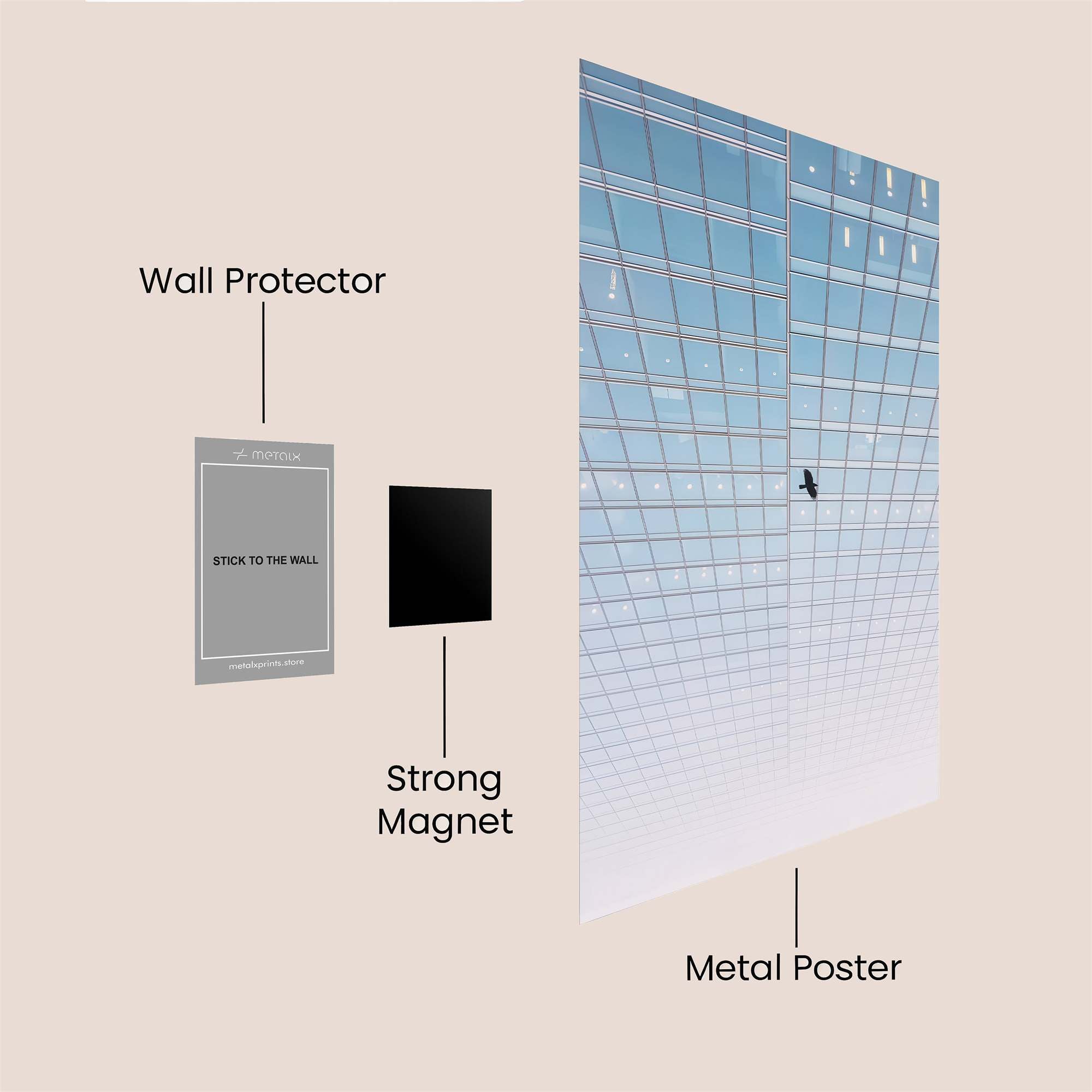 Bird Freedom Safe Wall Magnetic / M