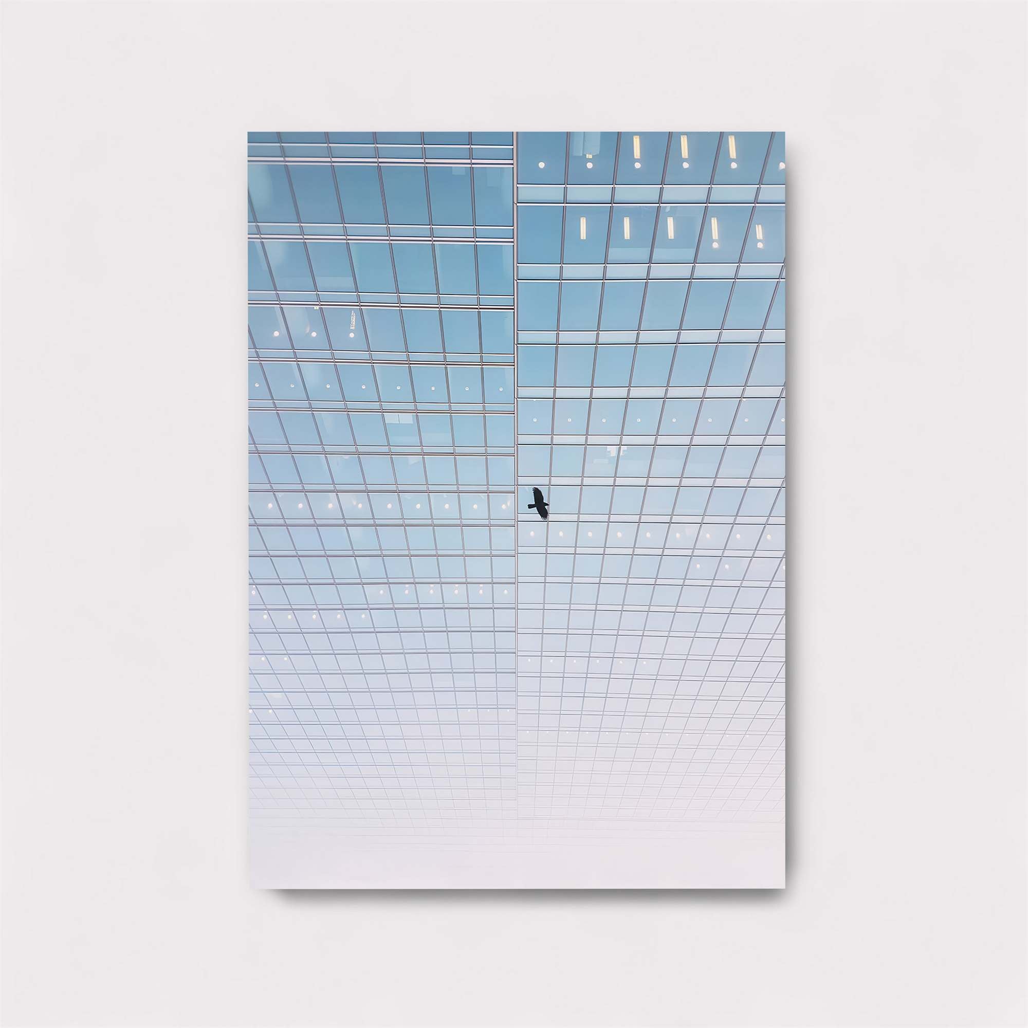 Bird Freedom Safe Wall Magnetic / M
