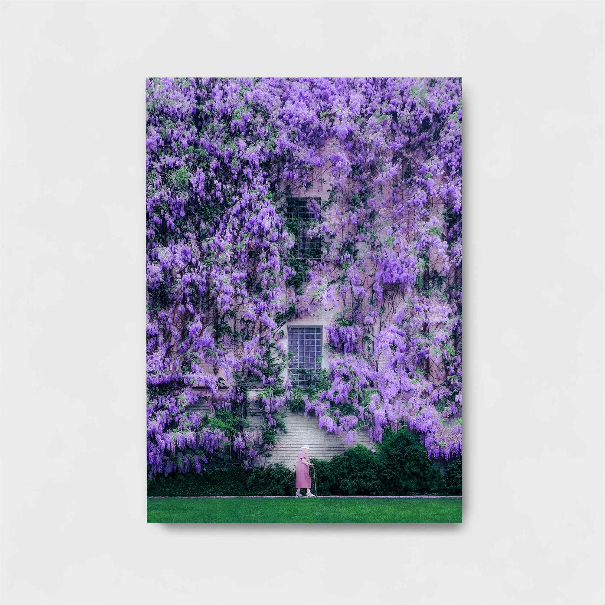 Wisteria Whimsy Safe Wall Magnetic / M