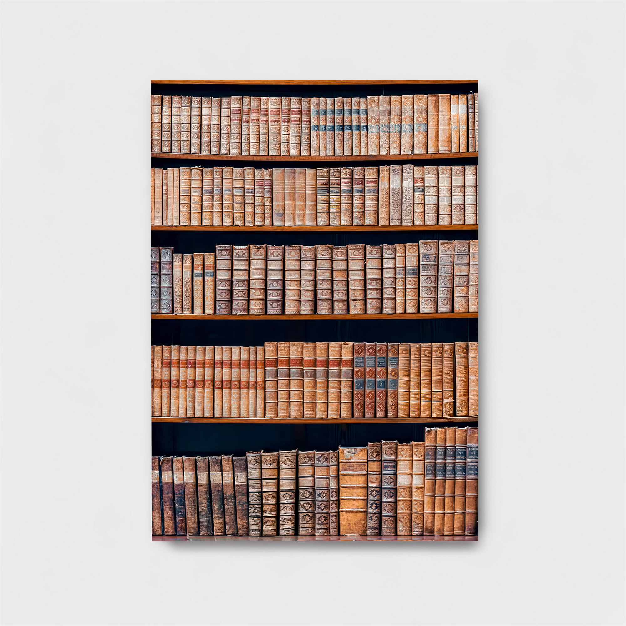 Library Serenity Safe Wall Magnetic / M