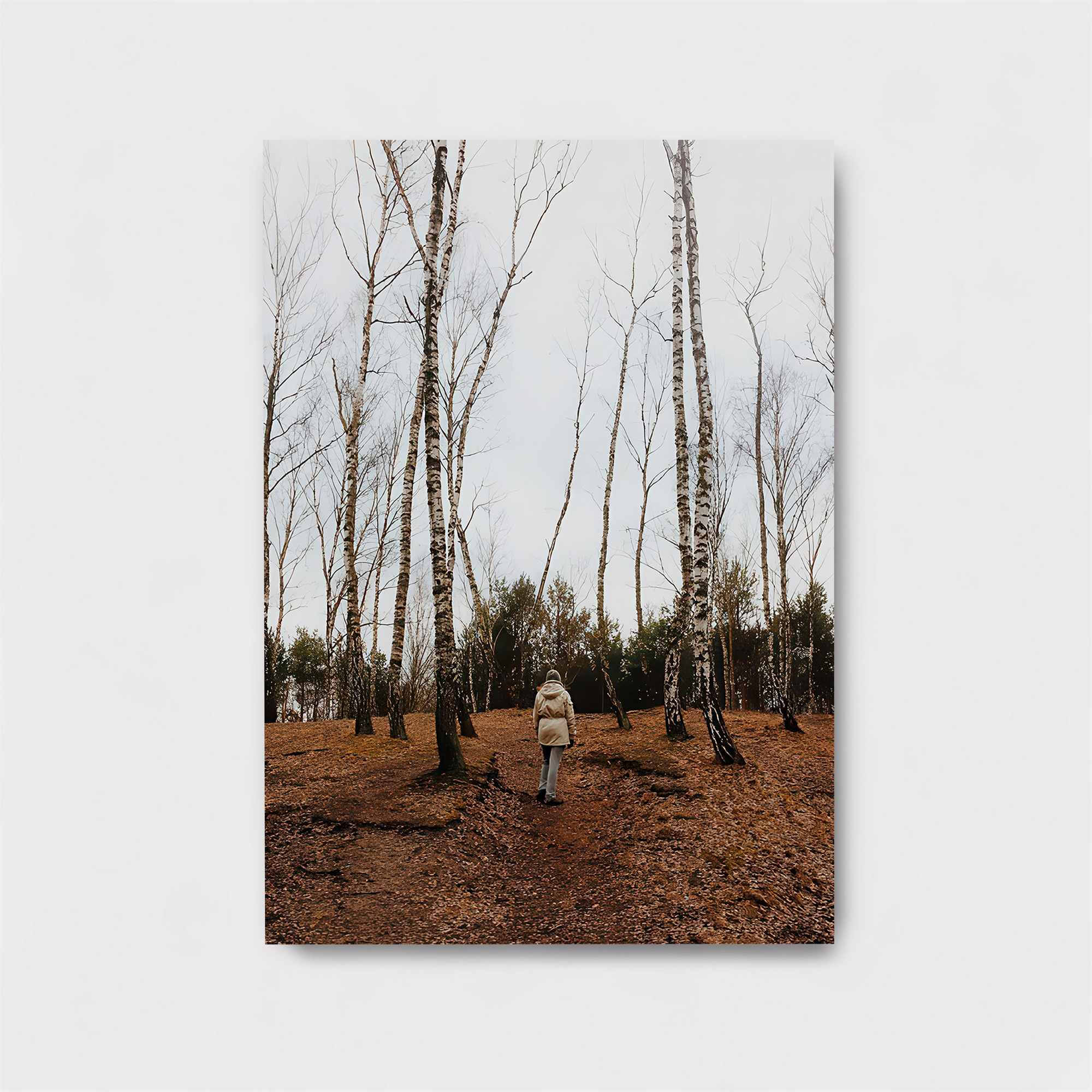 Birch Solitude Safe Wall Magnetic / M