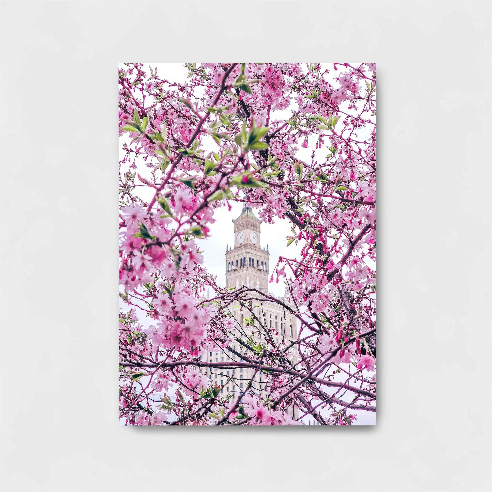 Belltower Bliss Safe Wall Magnetic / M