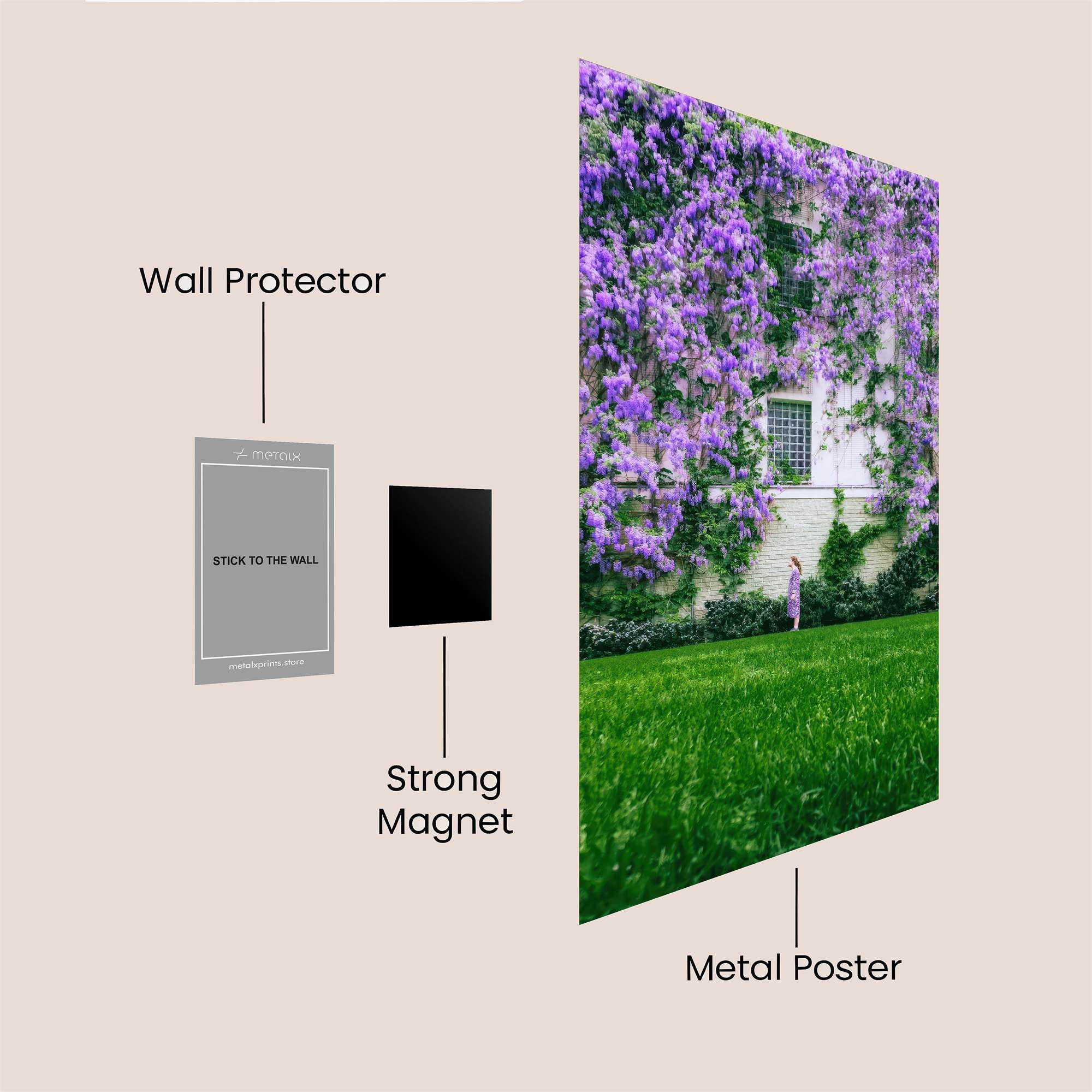 Wisteria Whimsy Safe Wall Magnetic / M