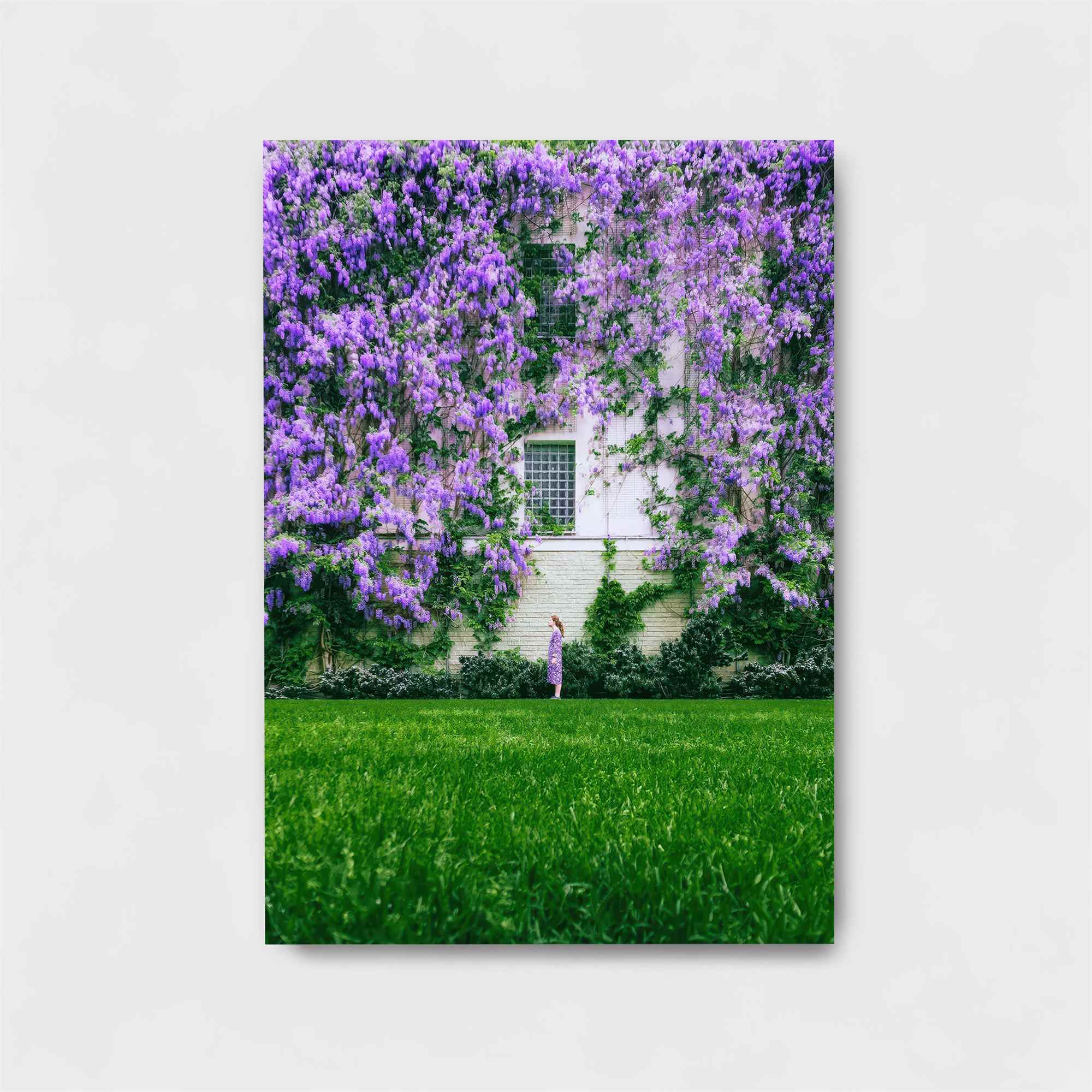 Wisteria Whimsy Safe Wall Magnetic / M