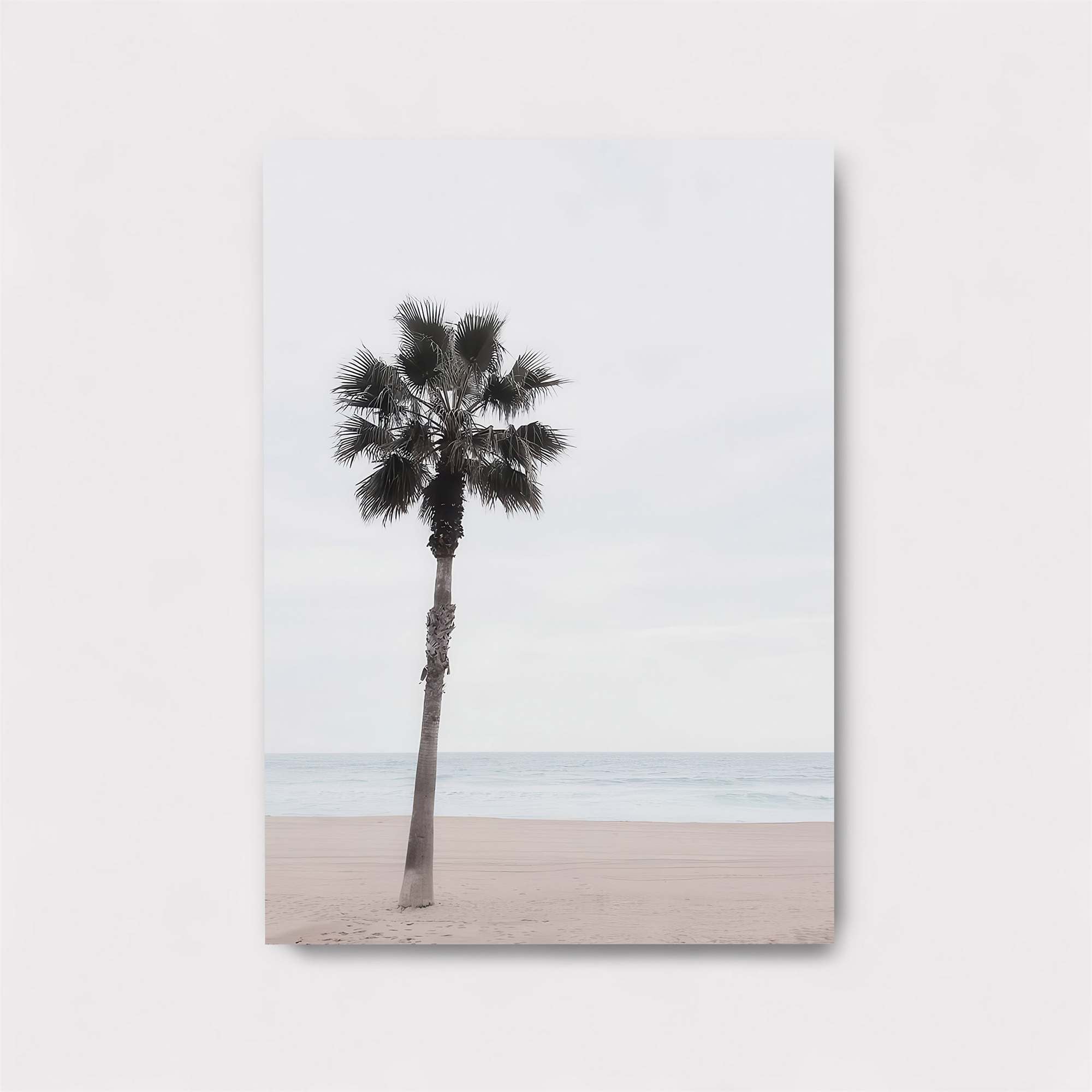 Palm Serenity Safe Wall Magnetic / M