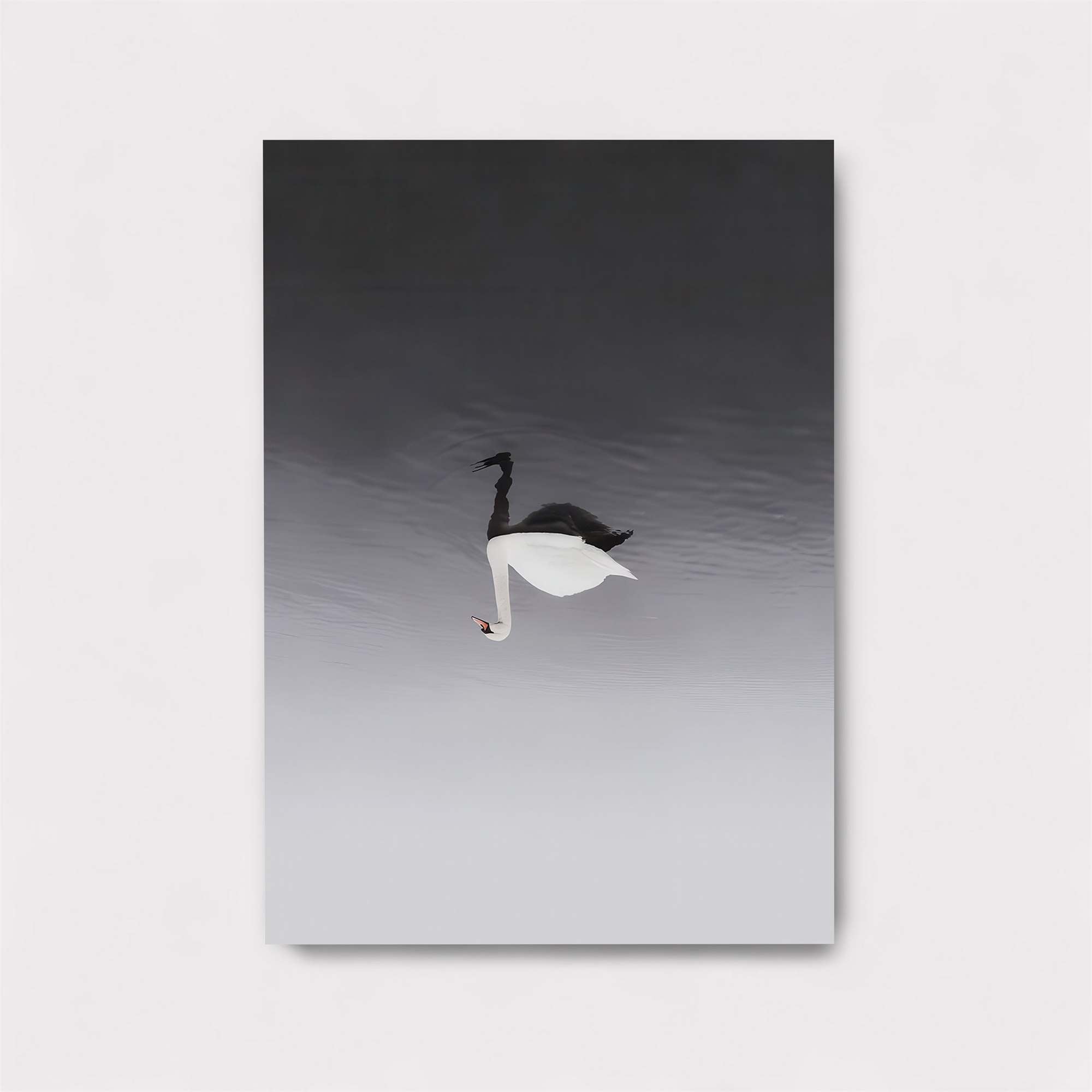 Swan Serenity Safe Wall Magnetic / M