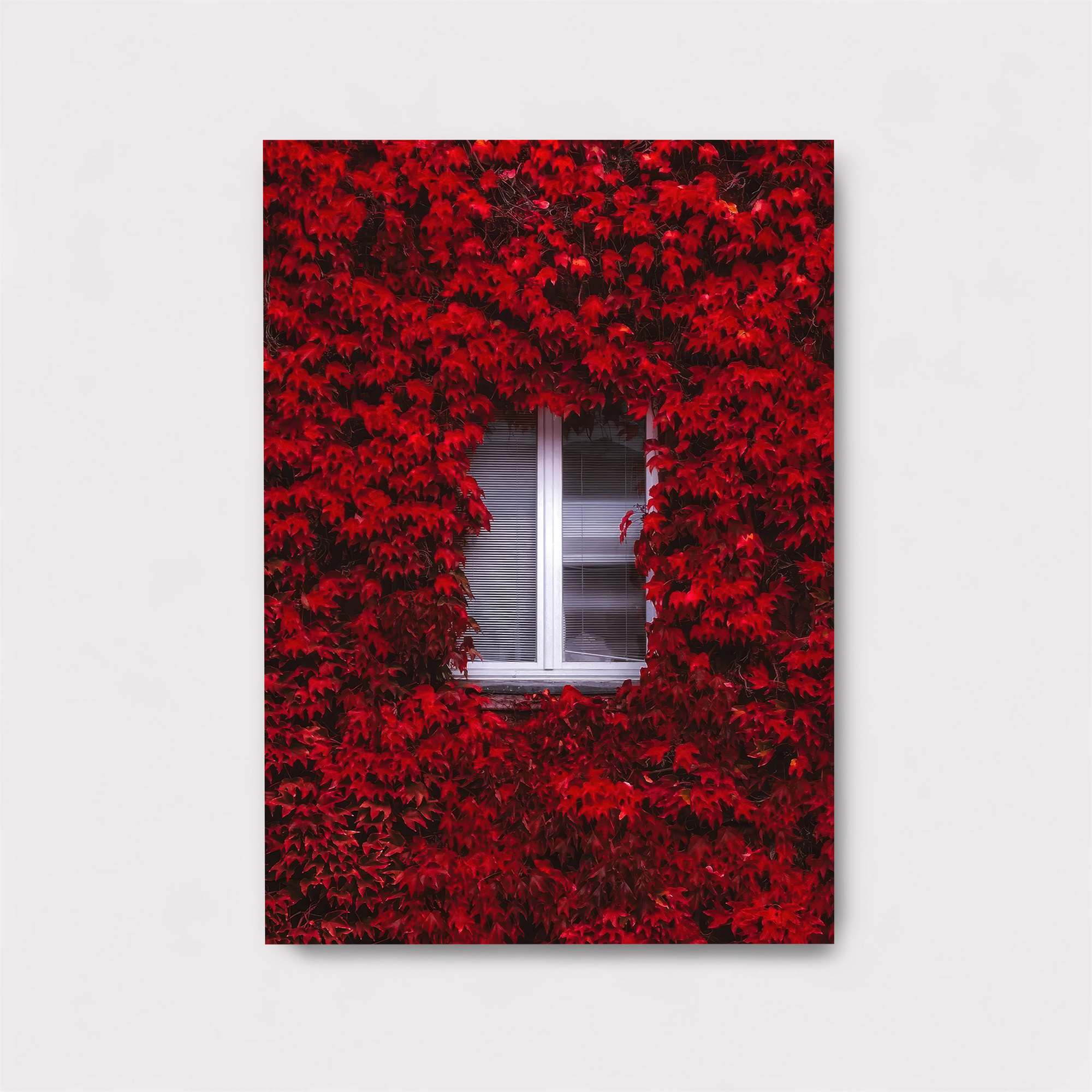 Window Blaze Safe Wall Magnetic / M