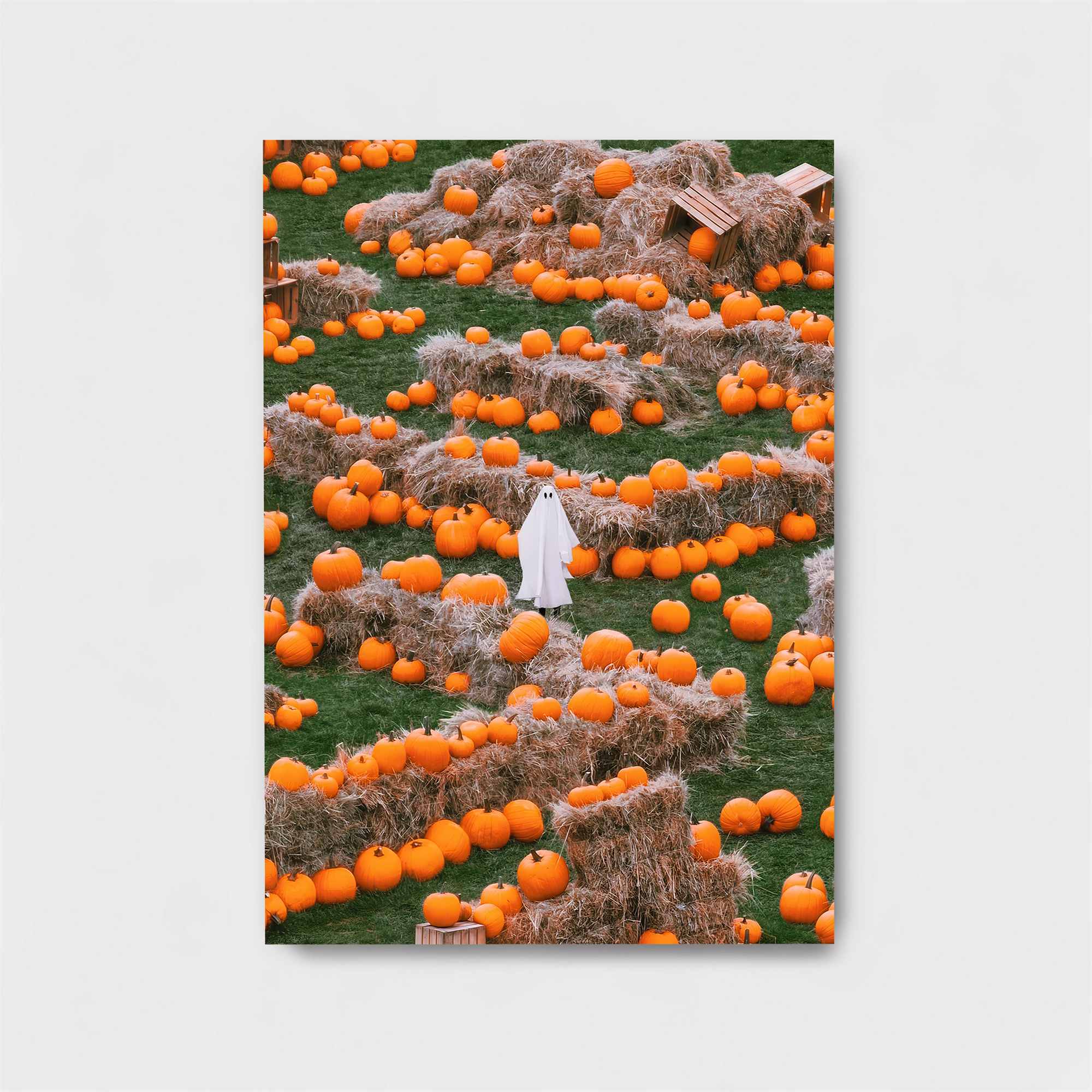 Ghostly Harvest Safe Wall Magnetic / M