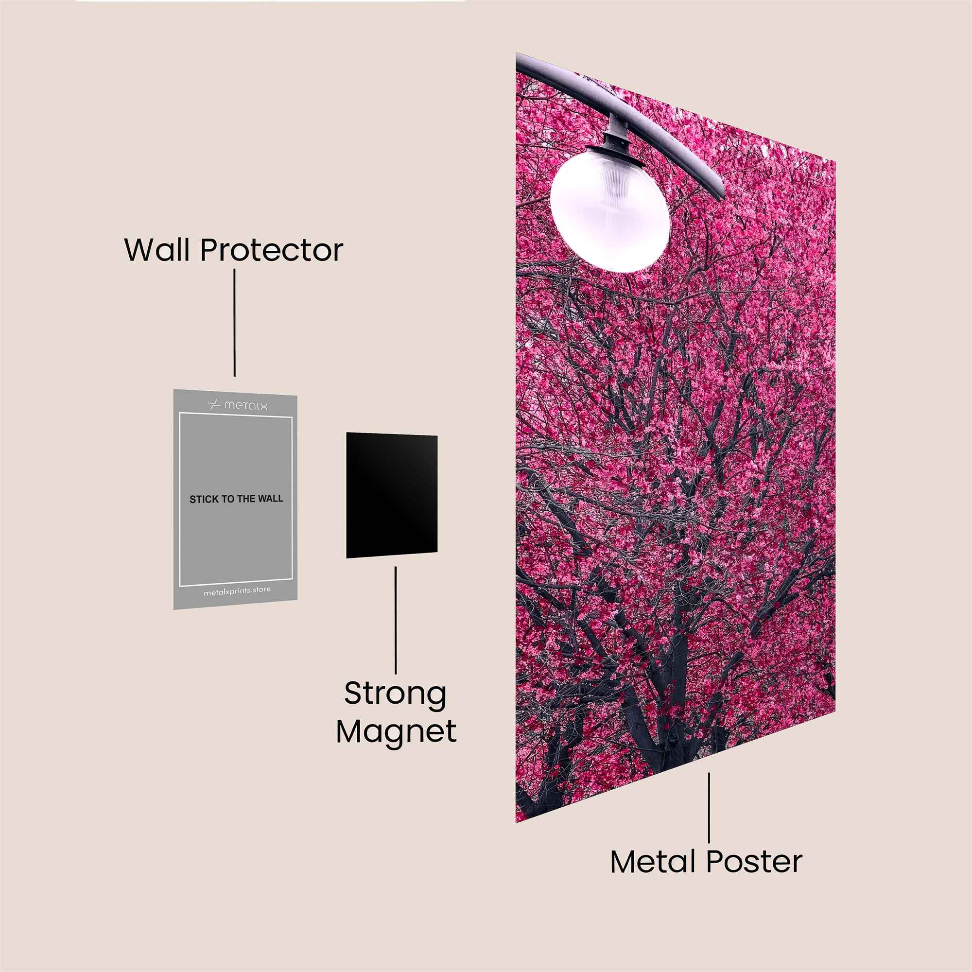 Blossom Bliss Safe Wall Magnetic / M