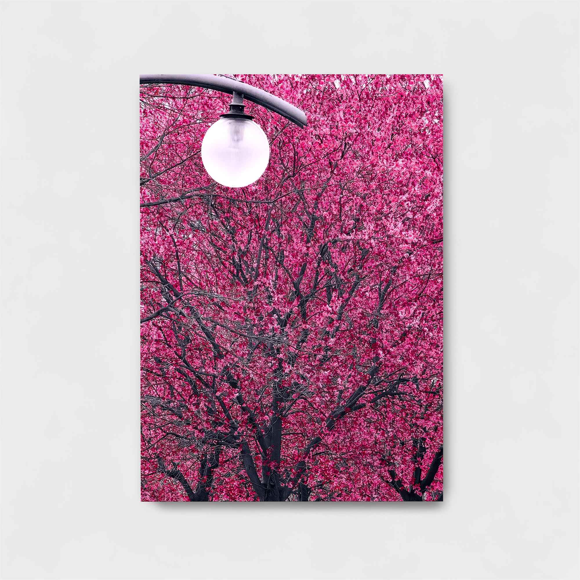 Blossom Bliss Safe Wall Magnetic / M