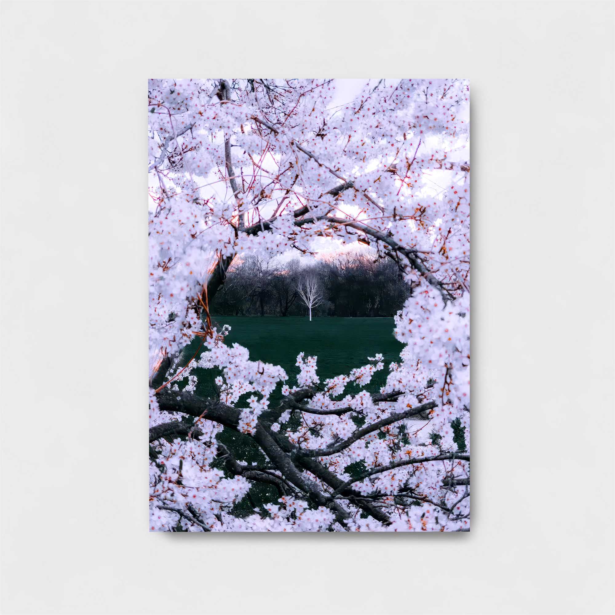 Cherry Serenity Safe Wall Magnetic / M