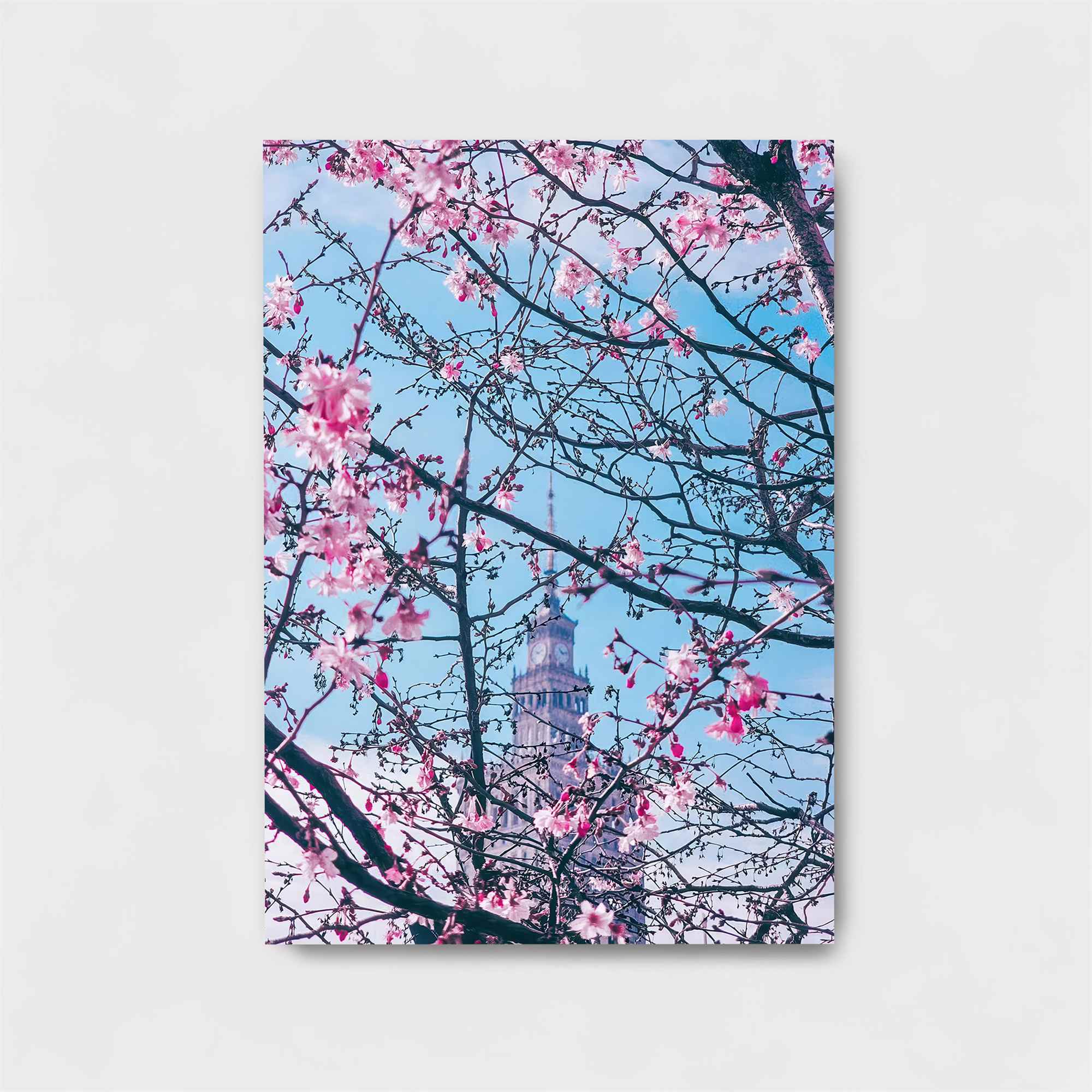 Sakura Serenity Safe Wall Magnetic / M