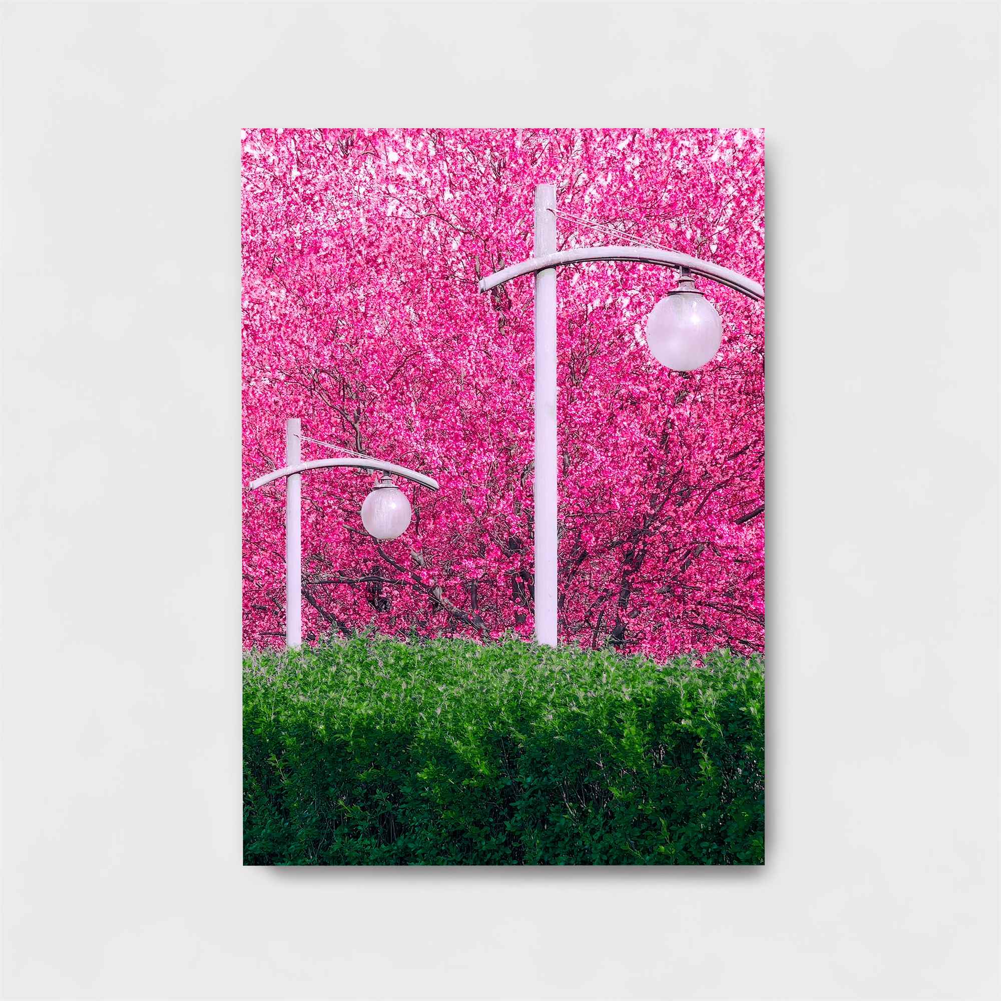 Blossom Dream Safe Wall Magnetic / M