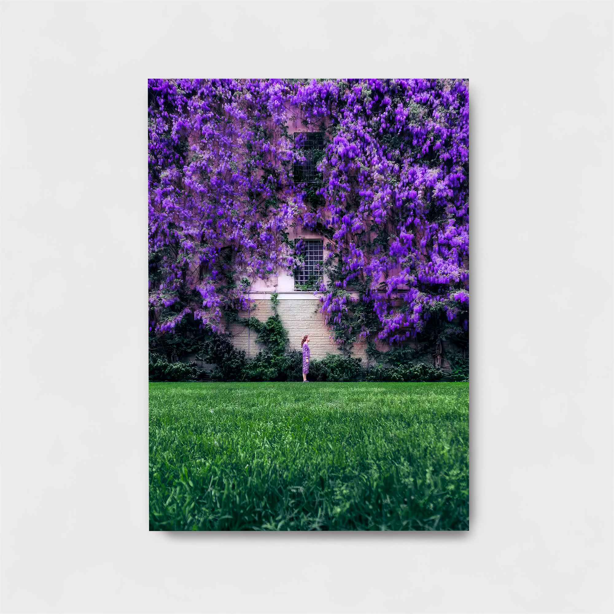 Wisteria Whimsy Safe Wall Magnetic / M