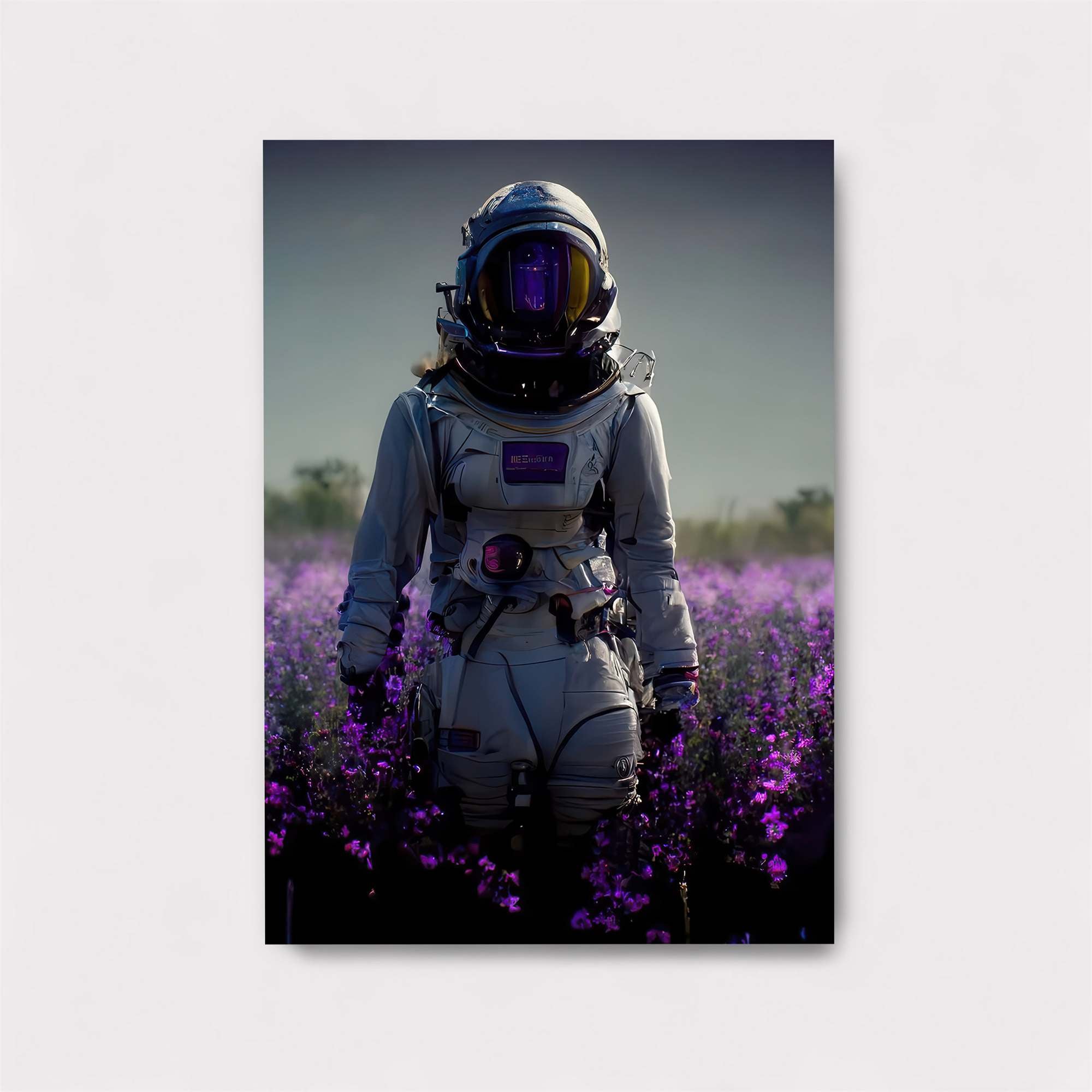 Astronaut Serenity Safe Wall Magnetic / M