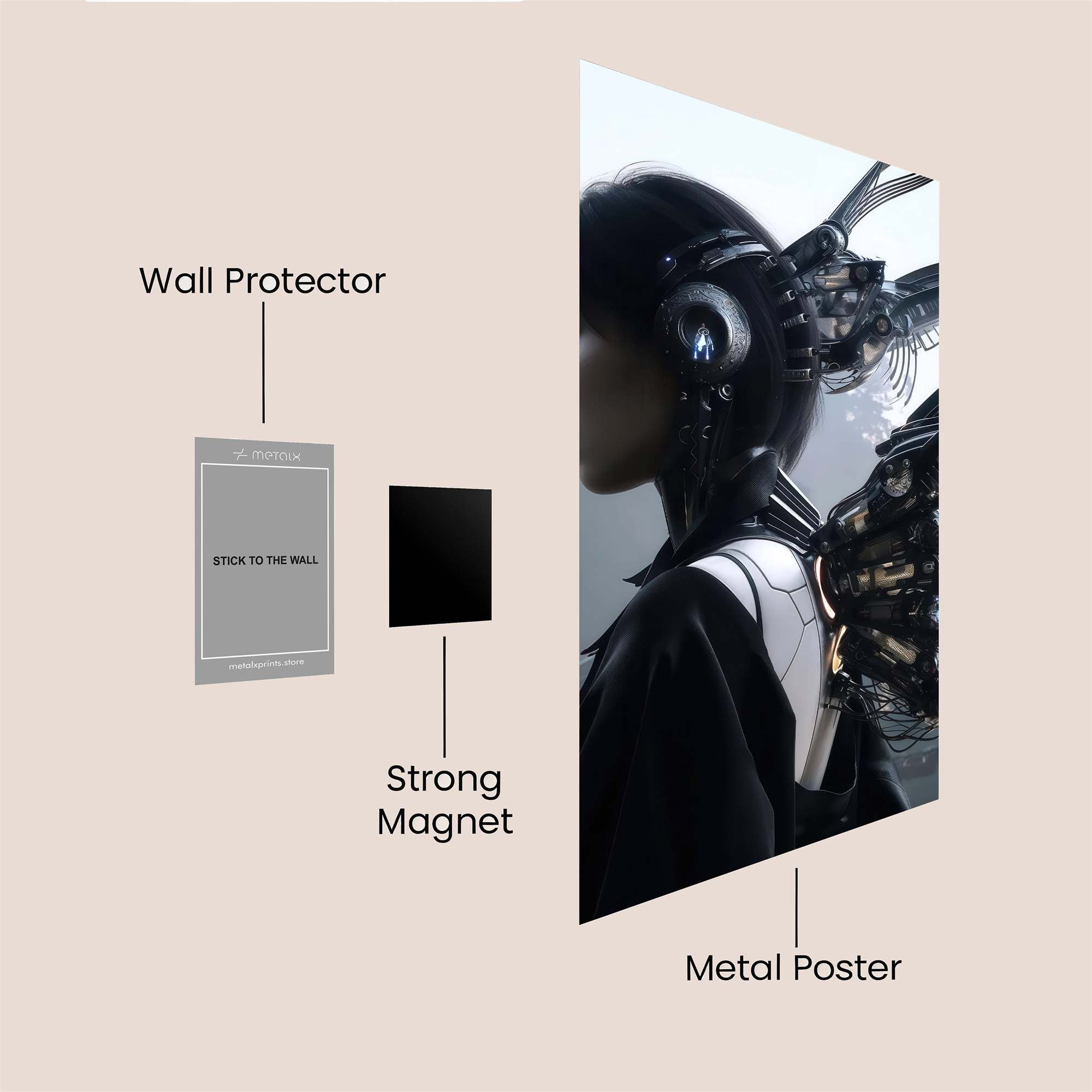 Royal Snail Safe Wall Magnetic / M