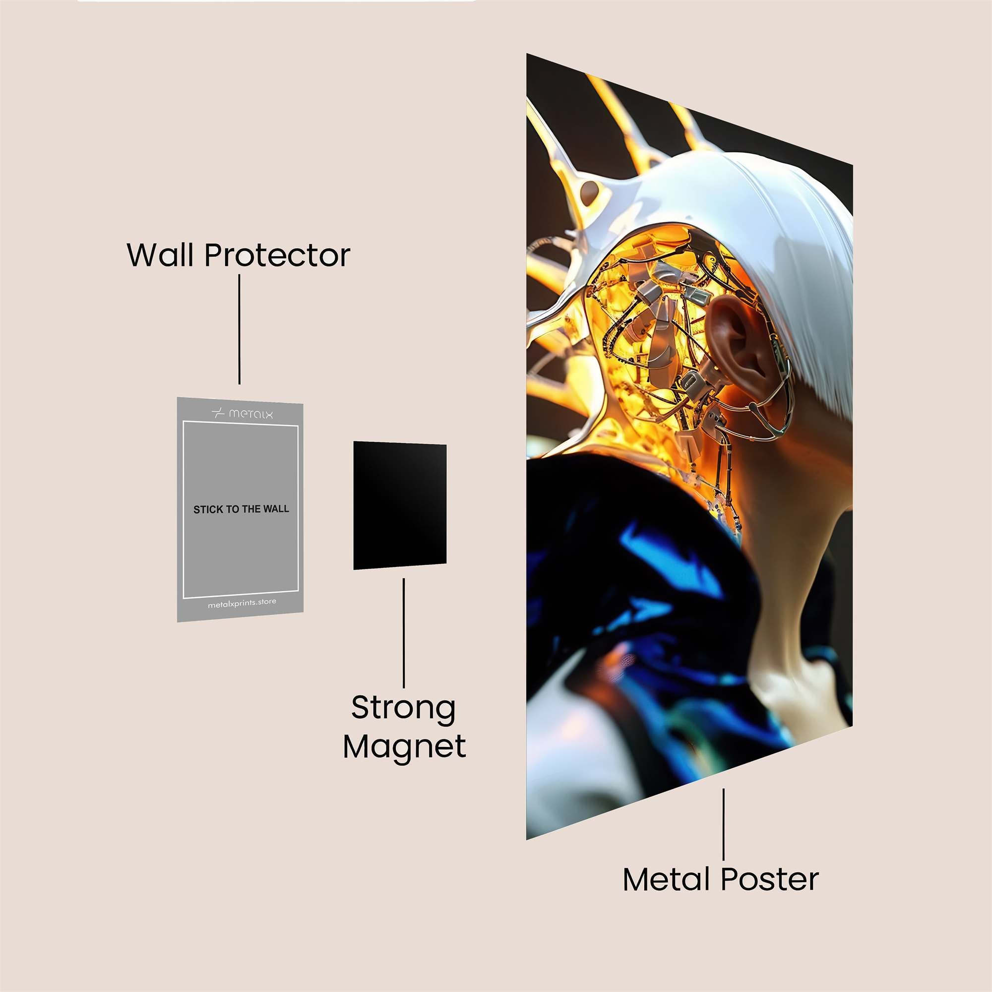 Cheetah Velocity Safe Wall Magnetic / M