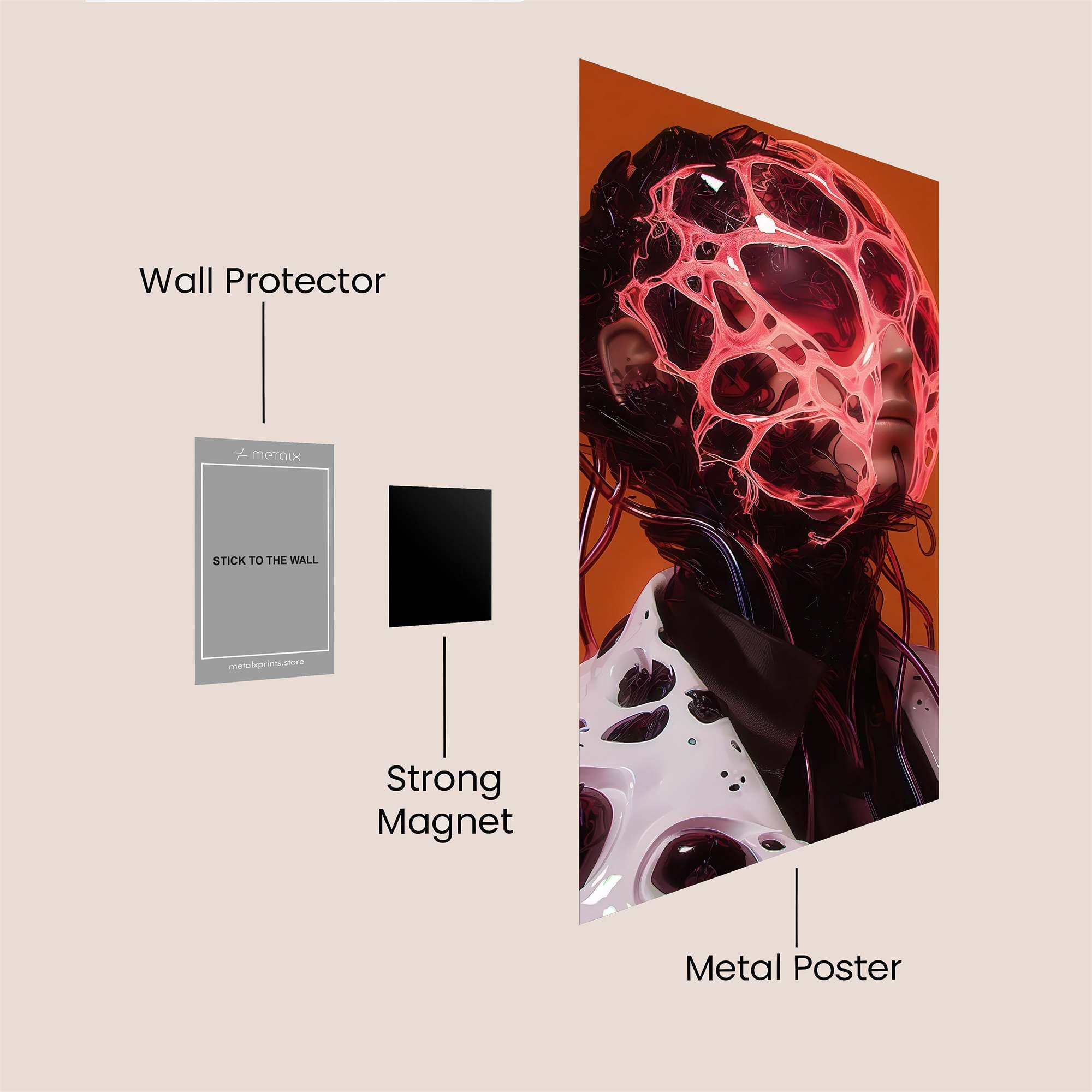 Dragon Radiance Safe Wall Magnetic / M