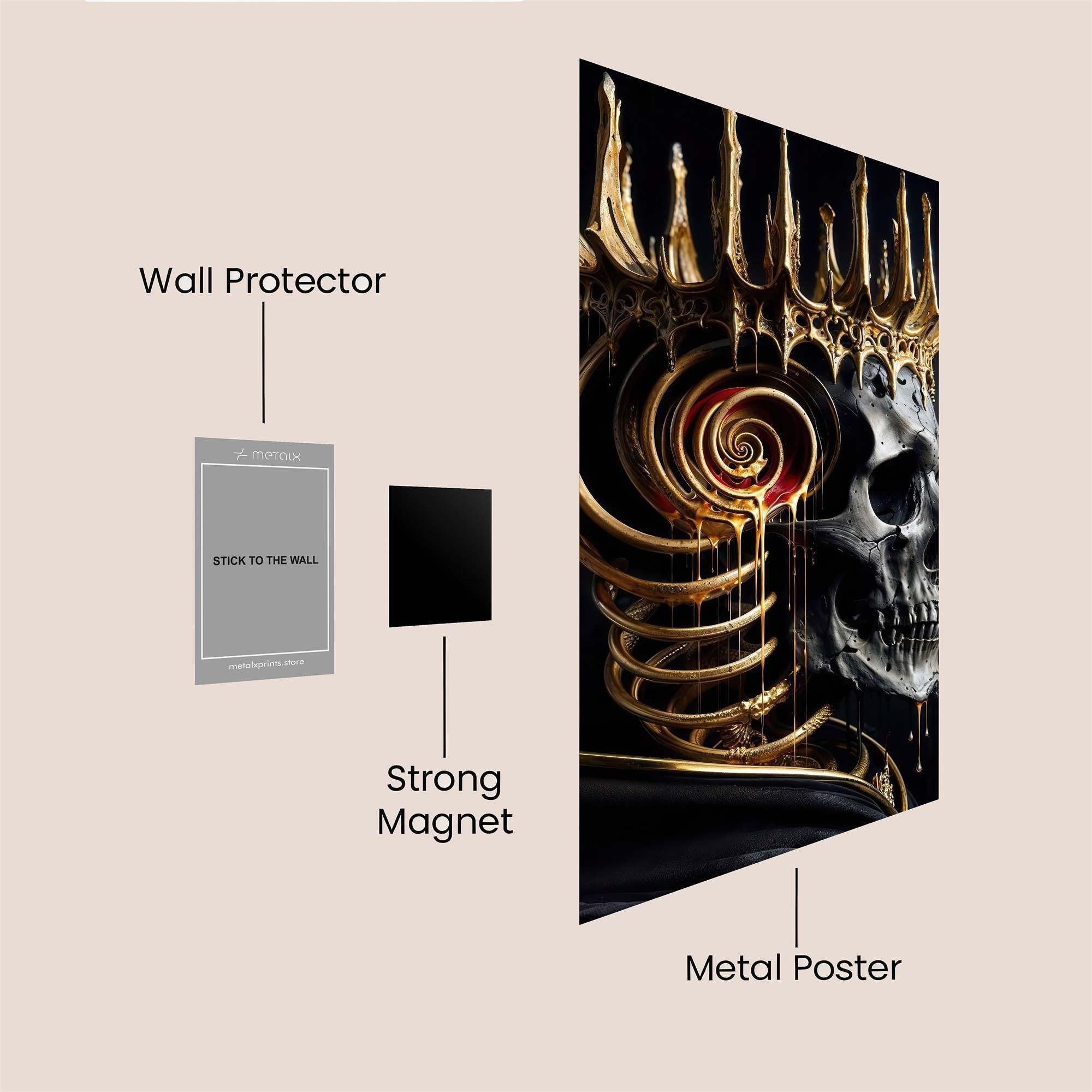 Snail Spectacle Safe Wall Magnetic / M