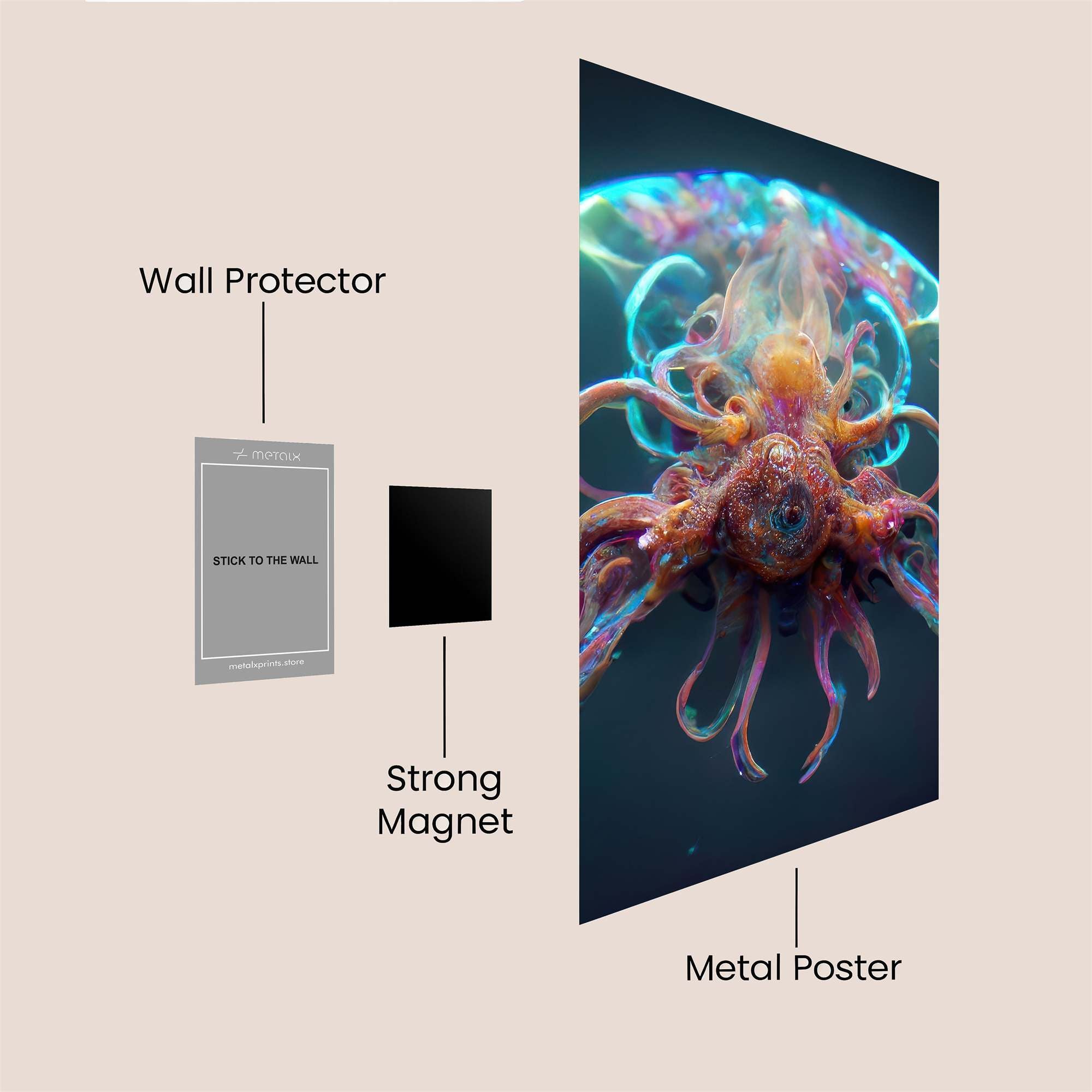 JellyDream Safe Wall Magnetic / M