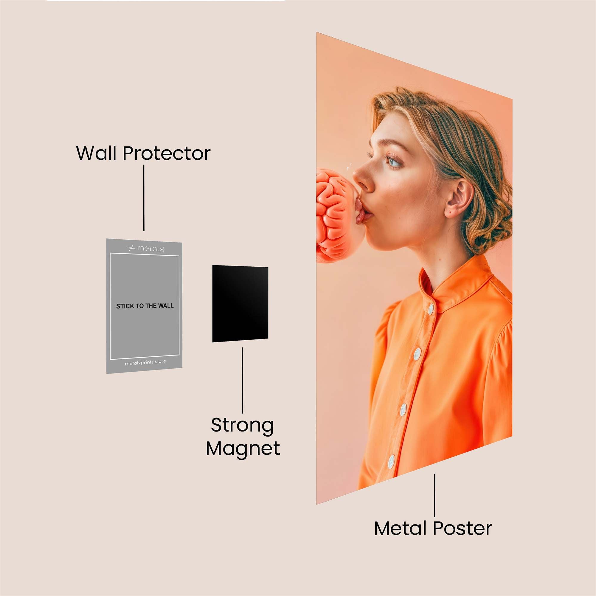 Brain Whimsy Safe Wall Magnetic / M