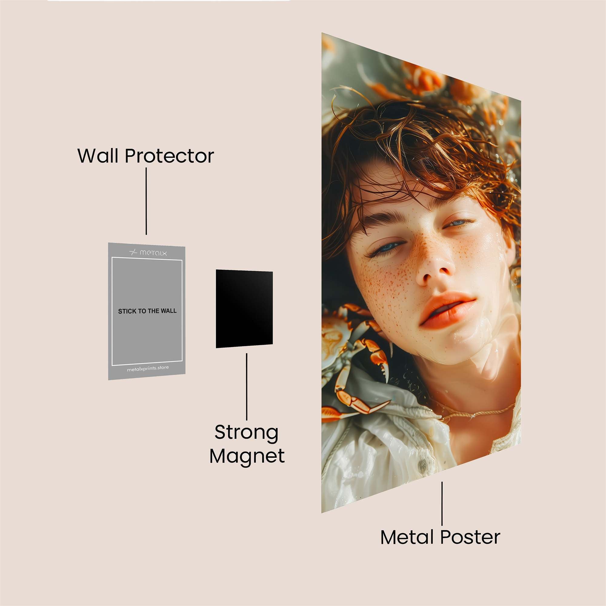 Crab Dreamer Safe Wall Magnetic / M