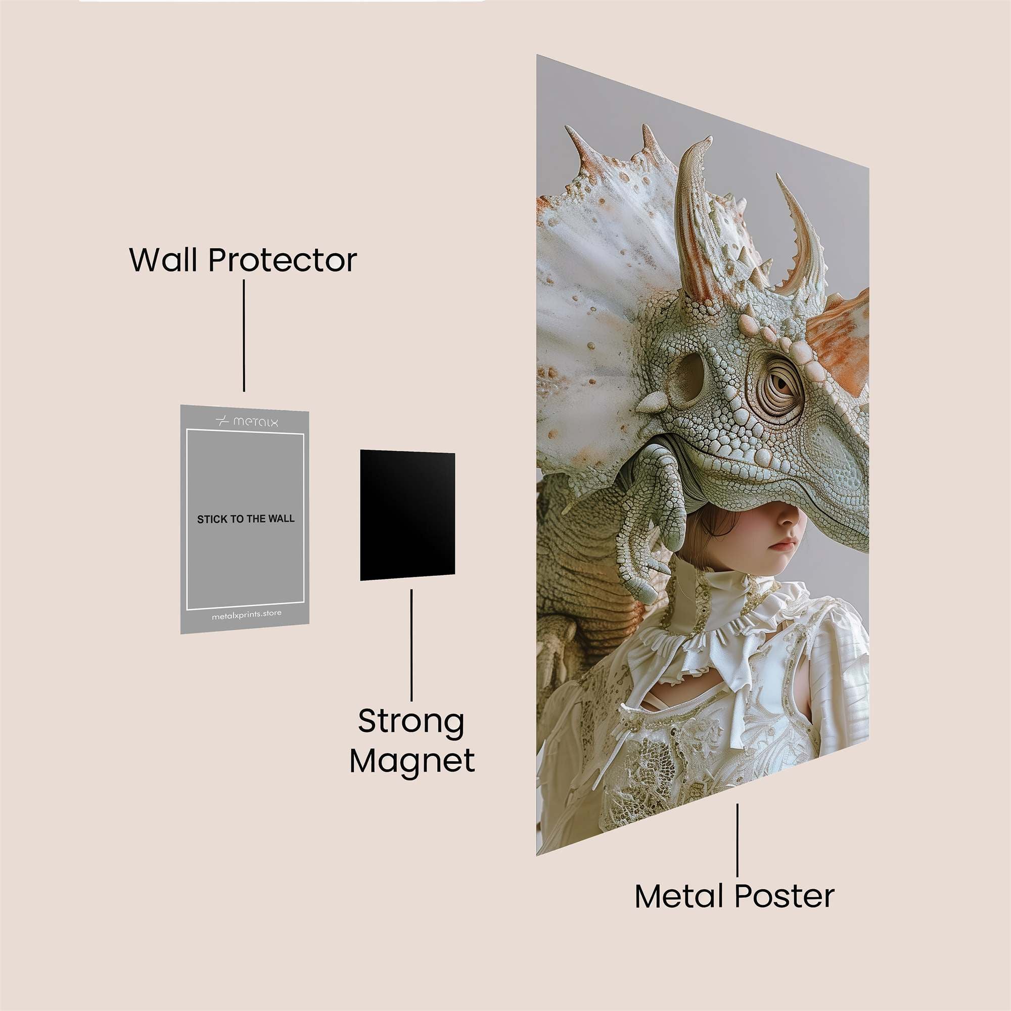 Triceratops Whimsy Safe Wall Magnetic / M