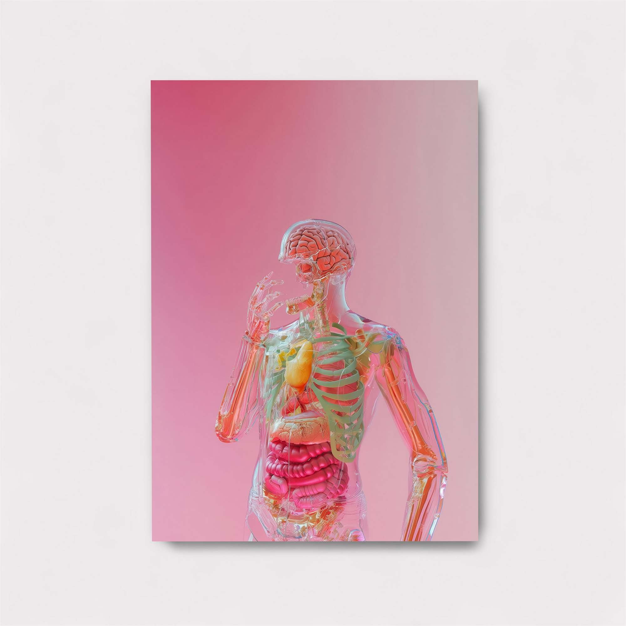 Anatomy Whisper Safe Wall Magnetic / M