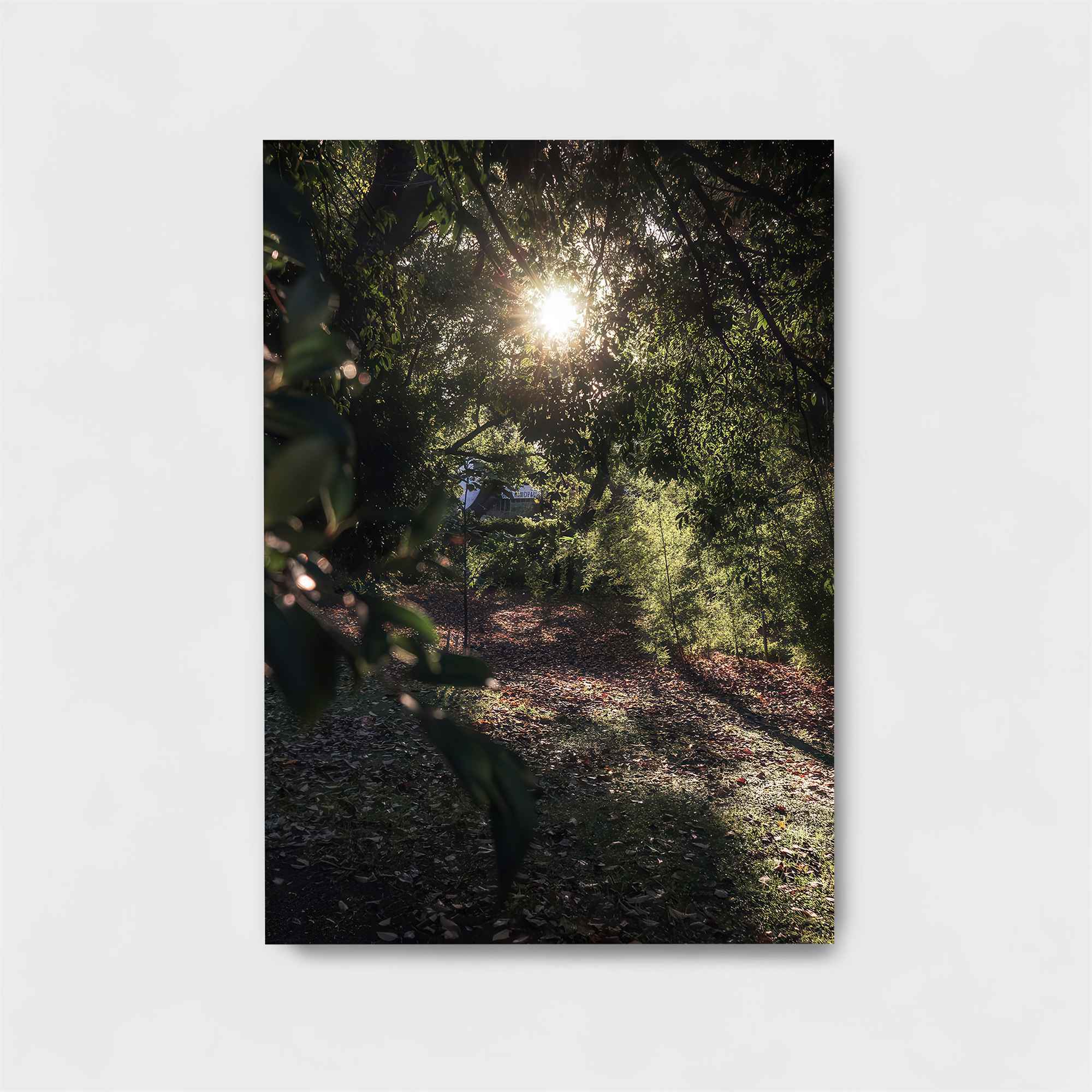 City Serenity Safe Wall Magnetic / M