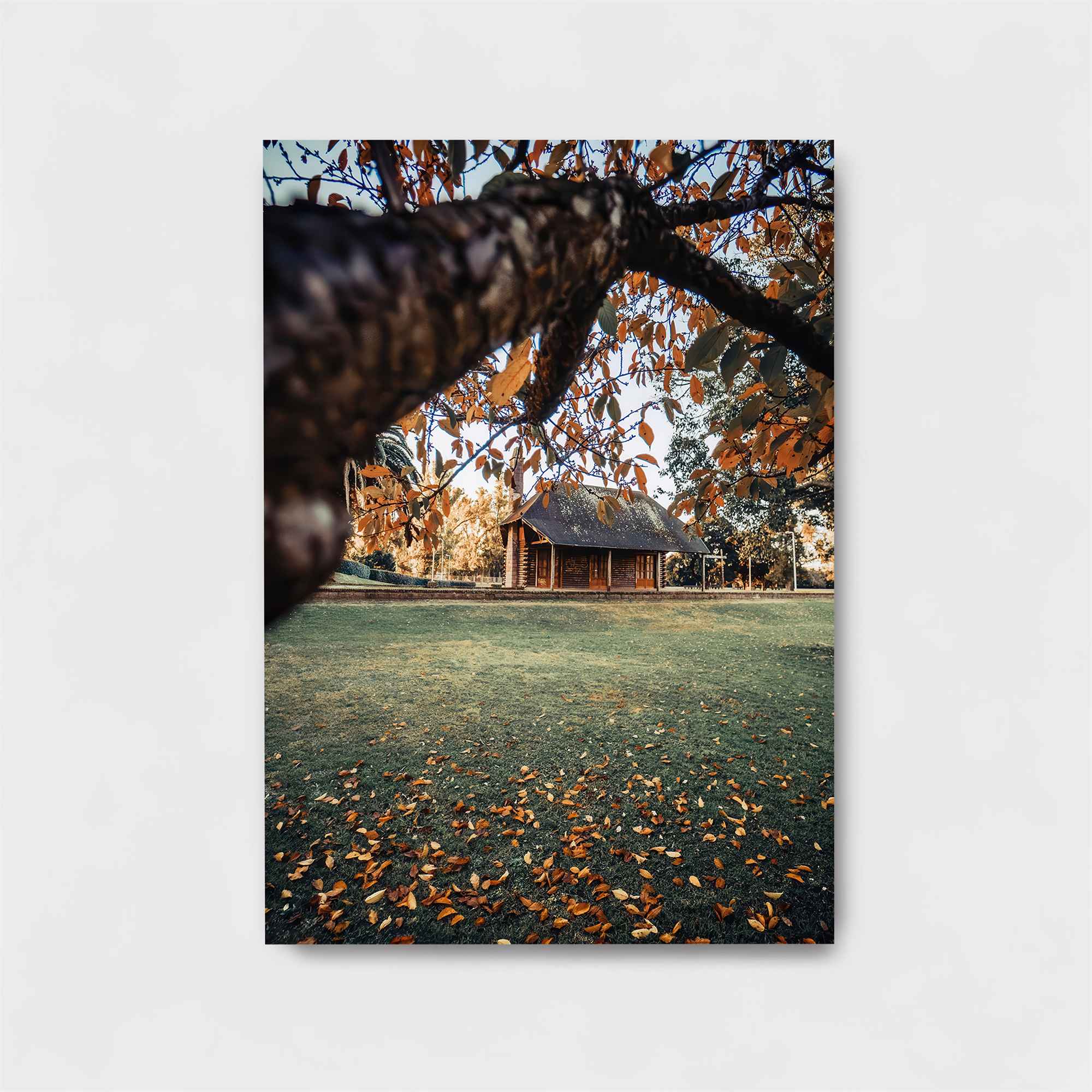 Cabin Serenity Safe Wall Magnetic / M