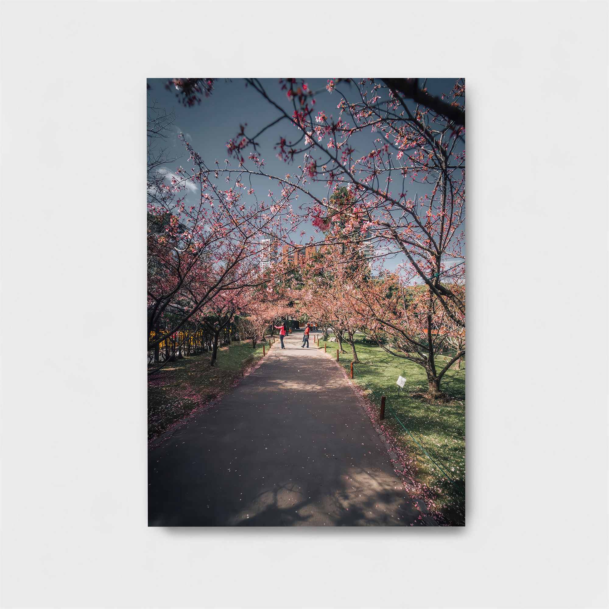 Blossom Serenity Safe Wall Magnetic / M