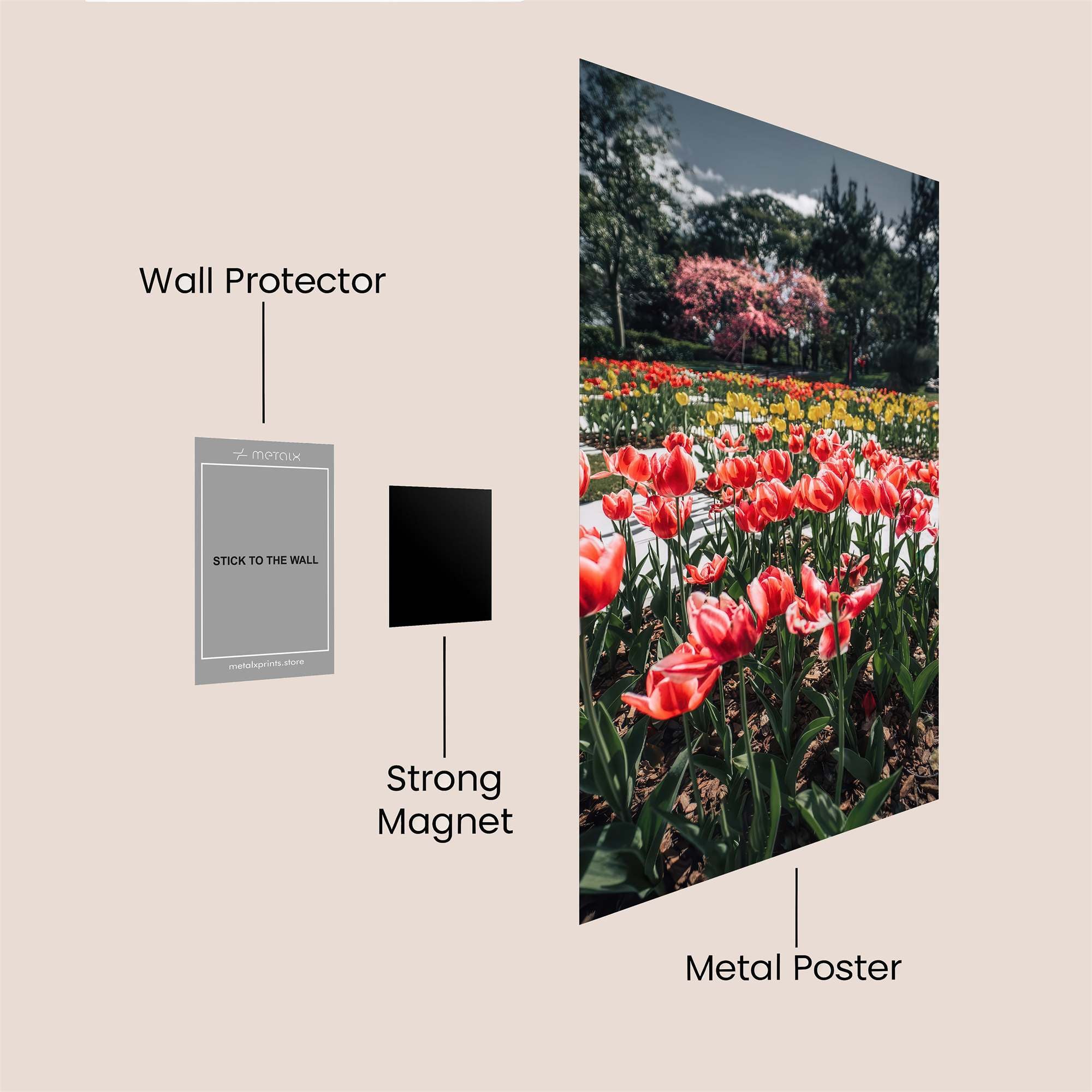 Tulip Tranquility Safe Wall Magnetic / M