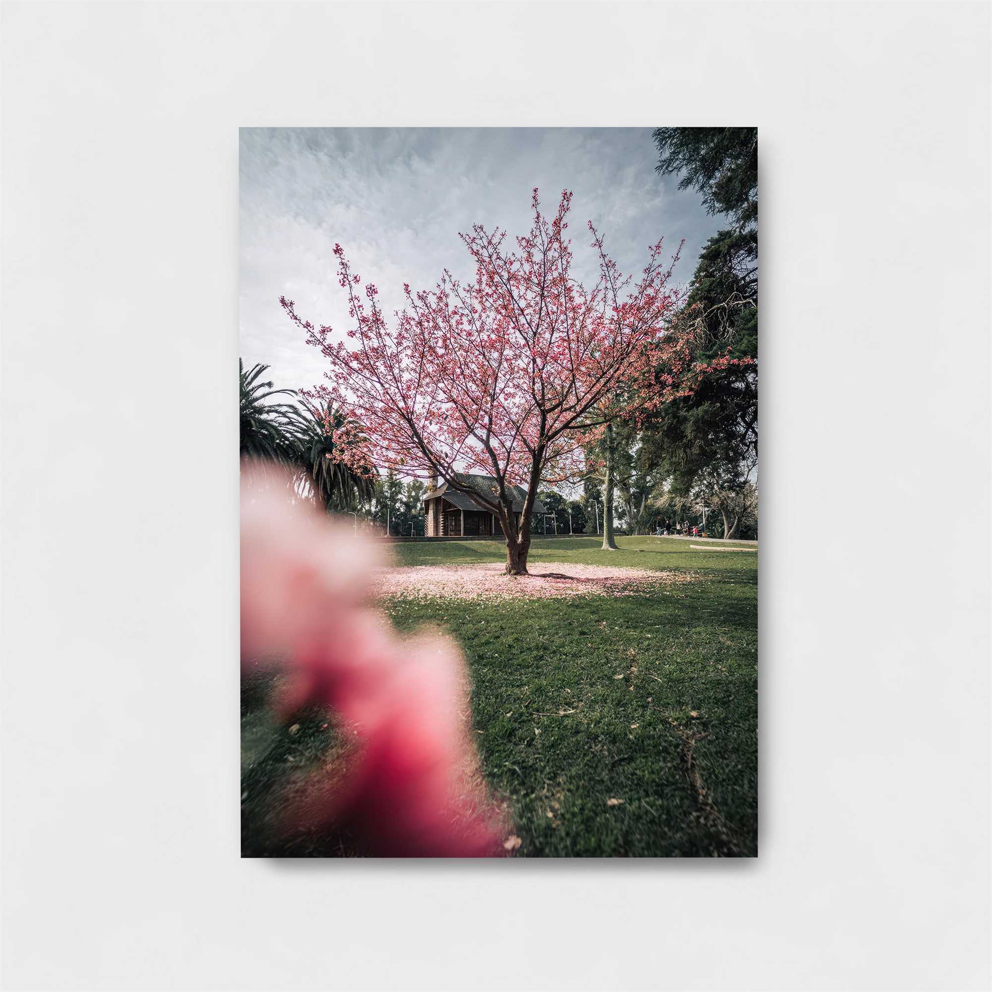 Cherry Bliss Safe Wall Magnetic / M