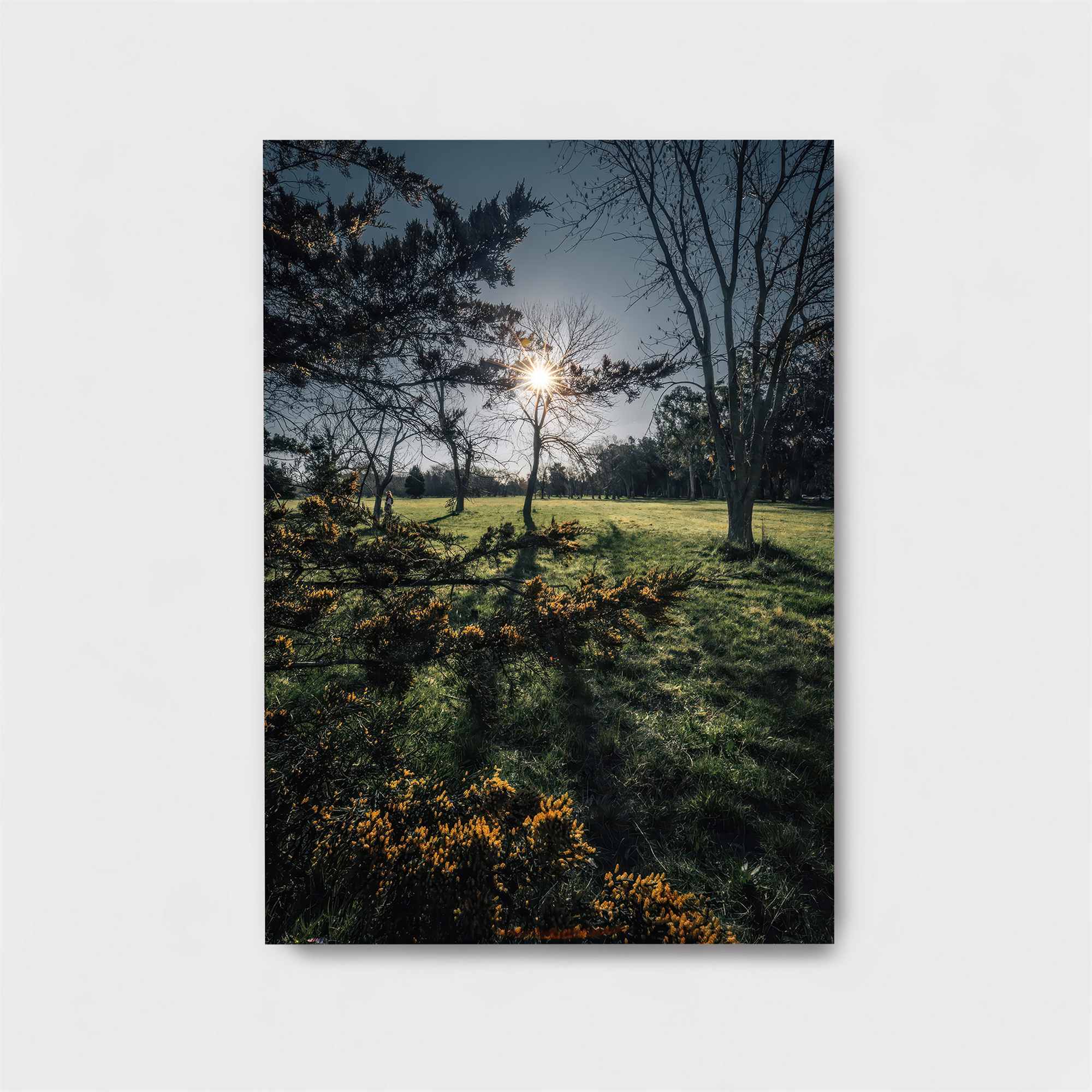 Sunset Serenity Safe Wall Magnetic / M