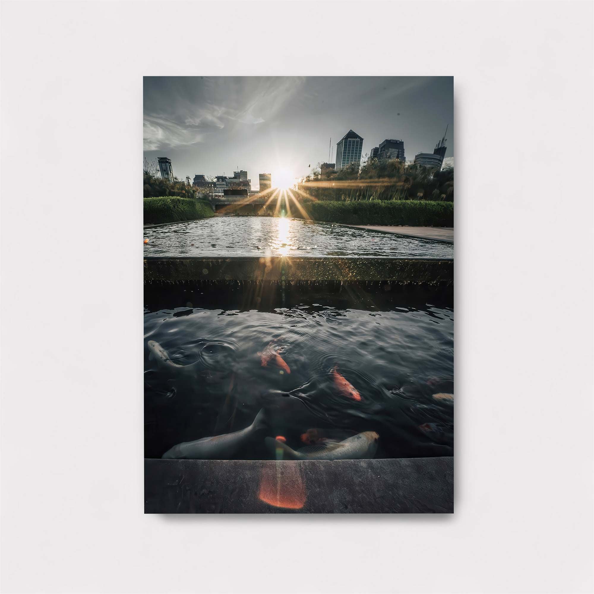 Koi Tranquility Safe Wall Magnetic / M