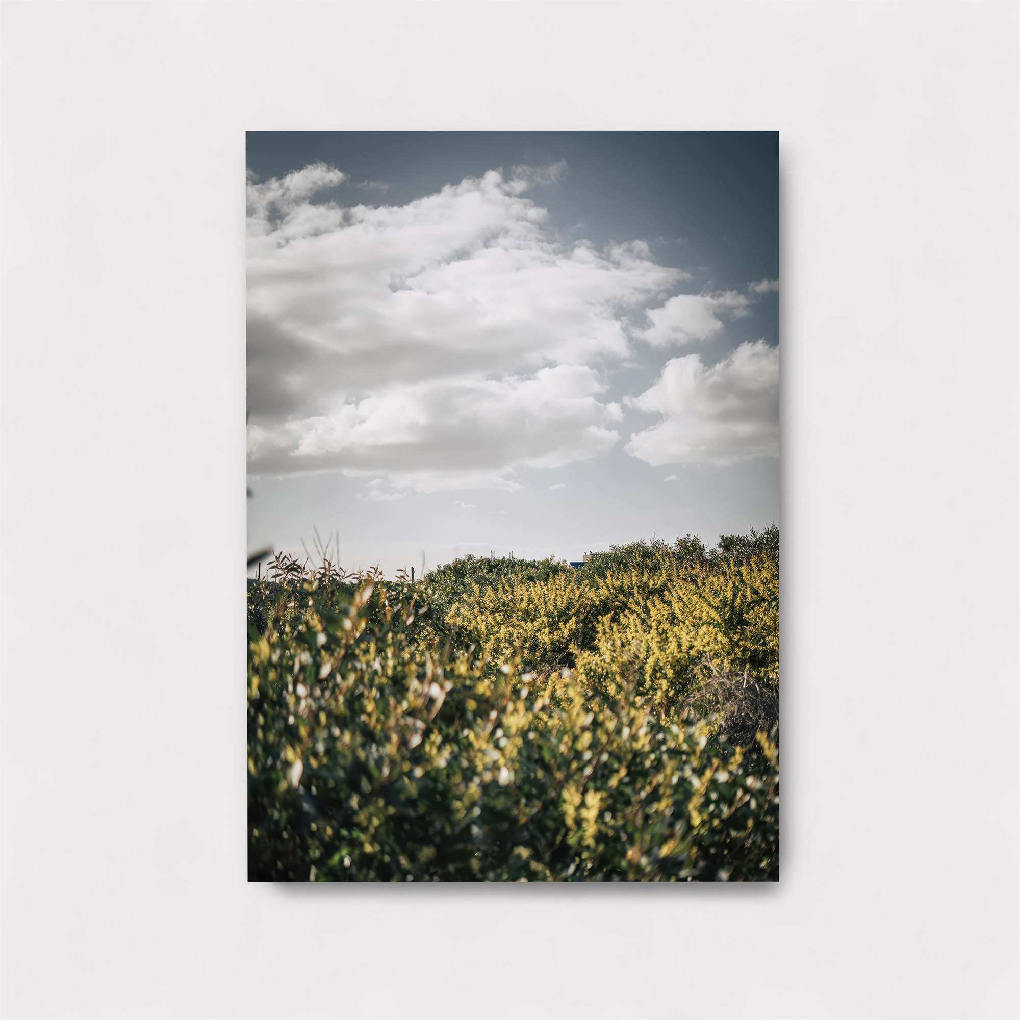 Nature'sWhisper Safe Wall Magnetic / M