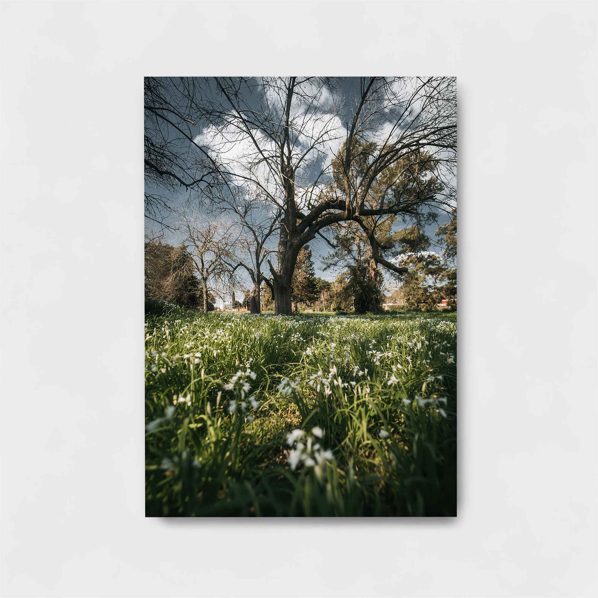 Blossom Serenity Safe Wall Magnetic / M