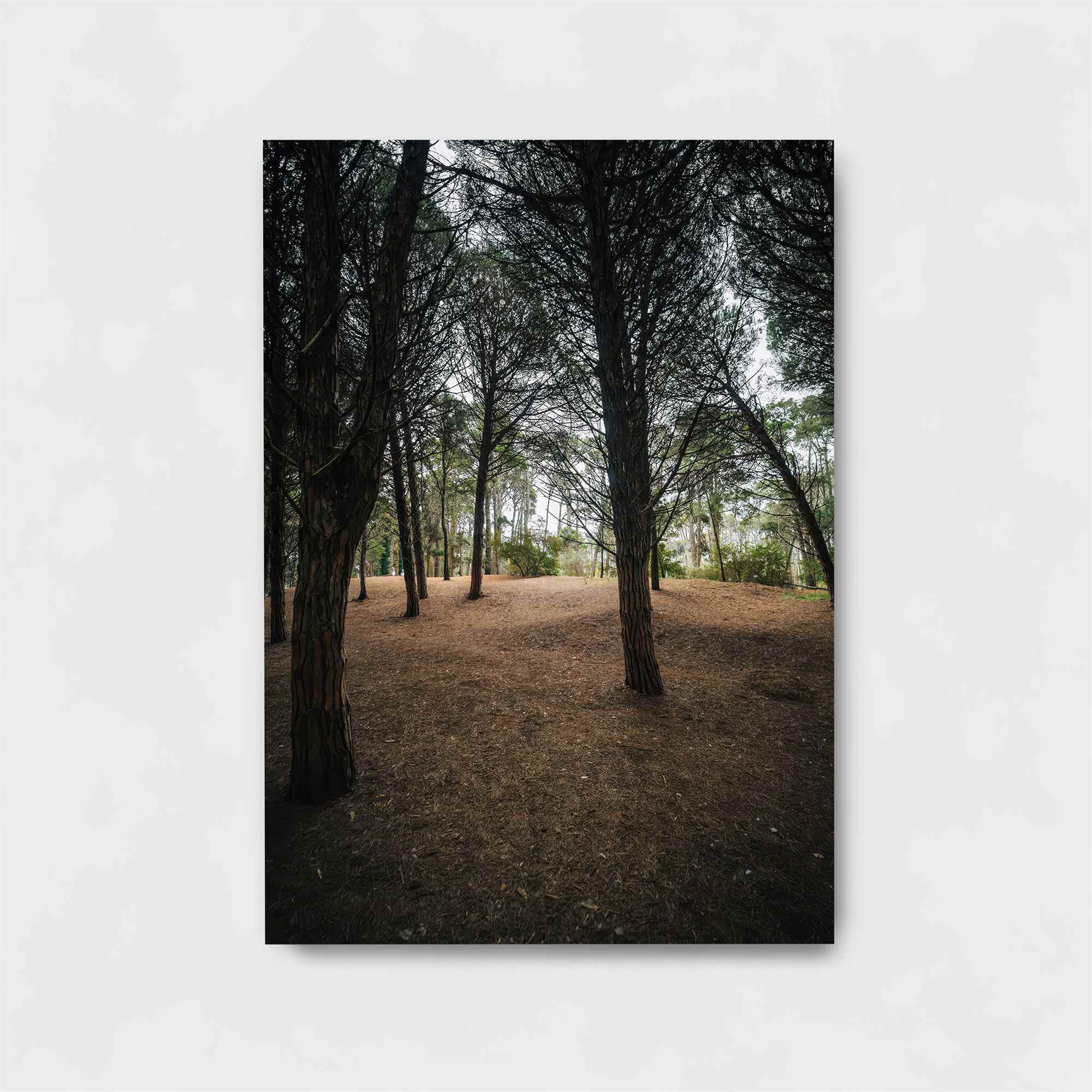 ForestWhisper Safe Wall Magnetic / M