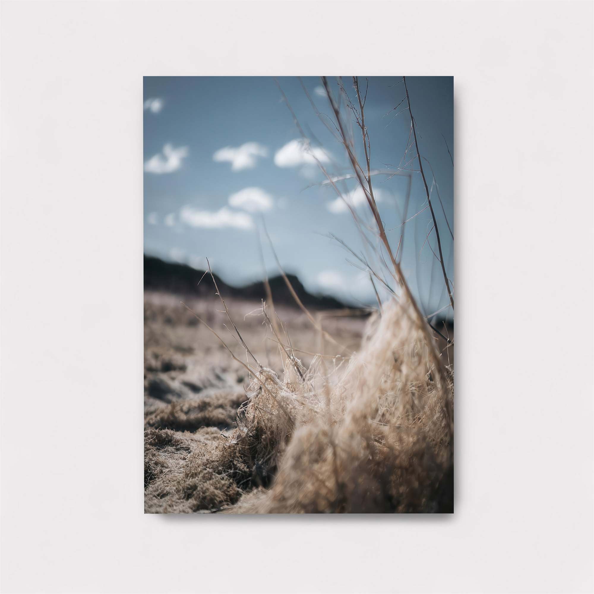 Desolate Whisper Safe Wall Magnetic / M