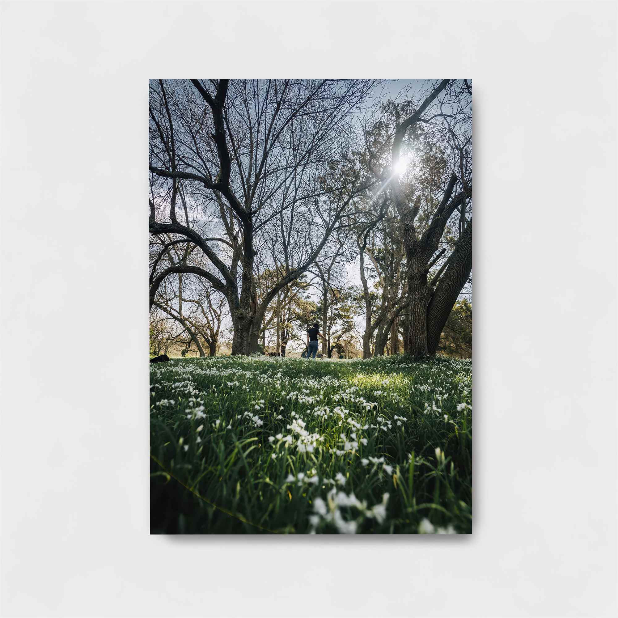 Sunlit Serenity Safe Wall Magnetic / M