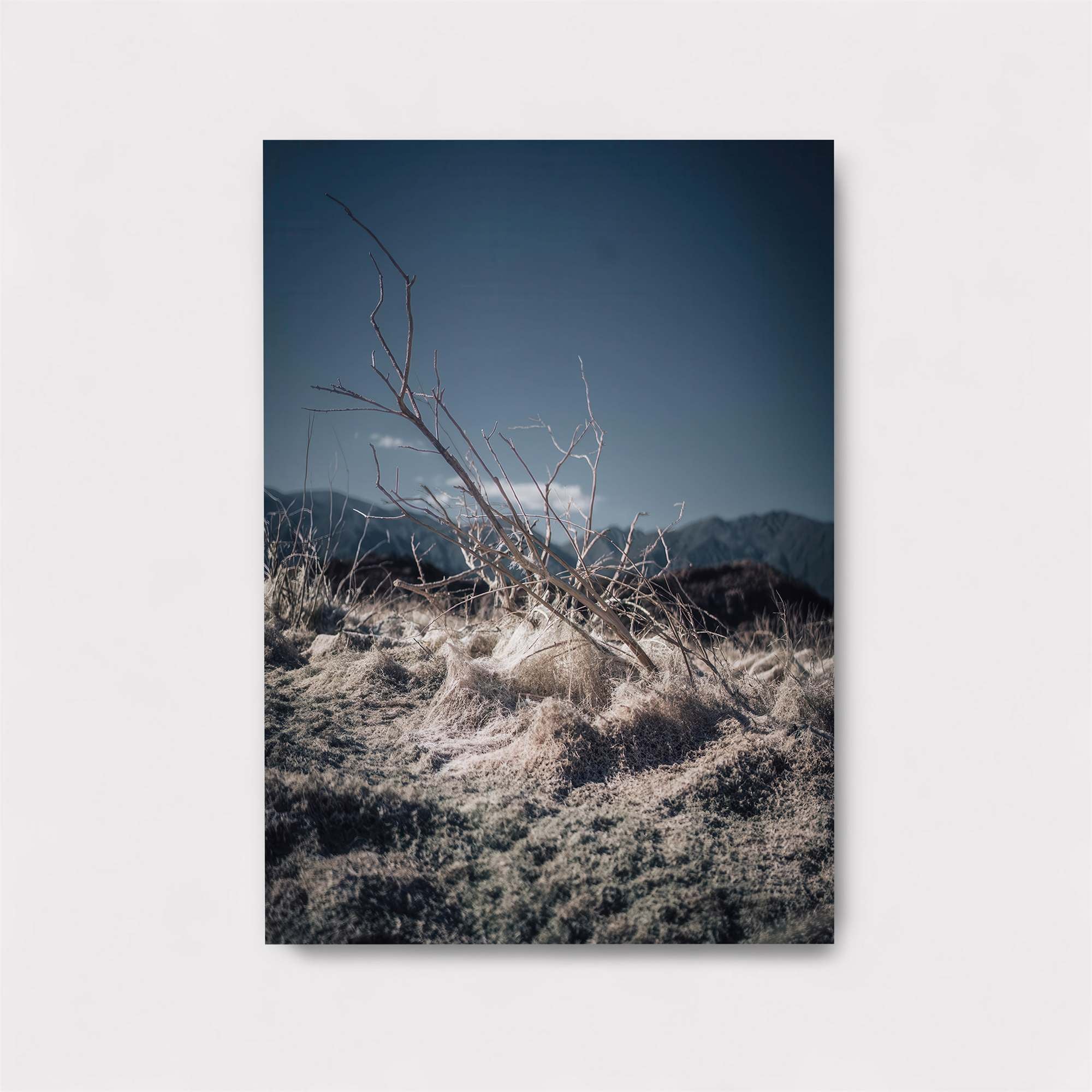 Barren Solitude Safe Wall Magnetic / M