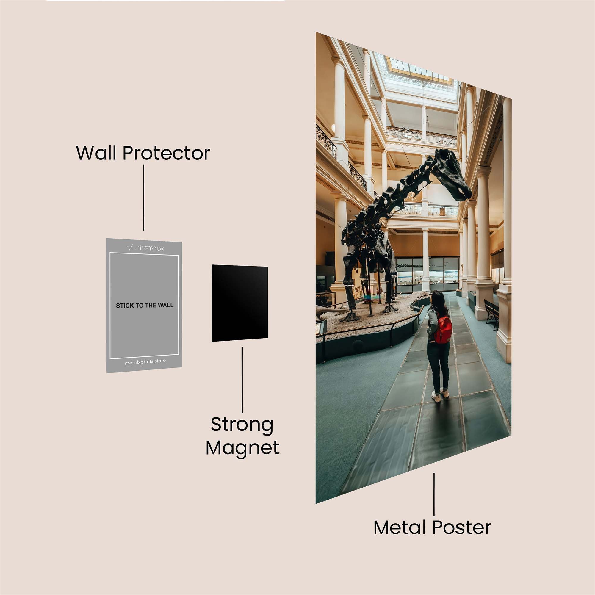 Dinosaur Wonder Safe Wall Magnetic / M