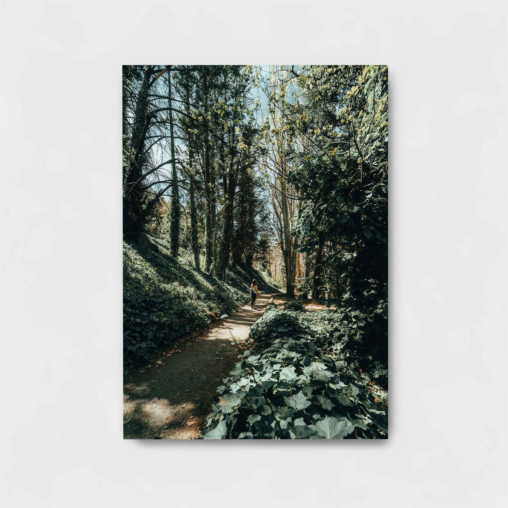 Forest Serenity Safe Wall Magnetic / M