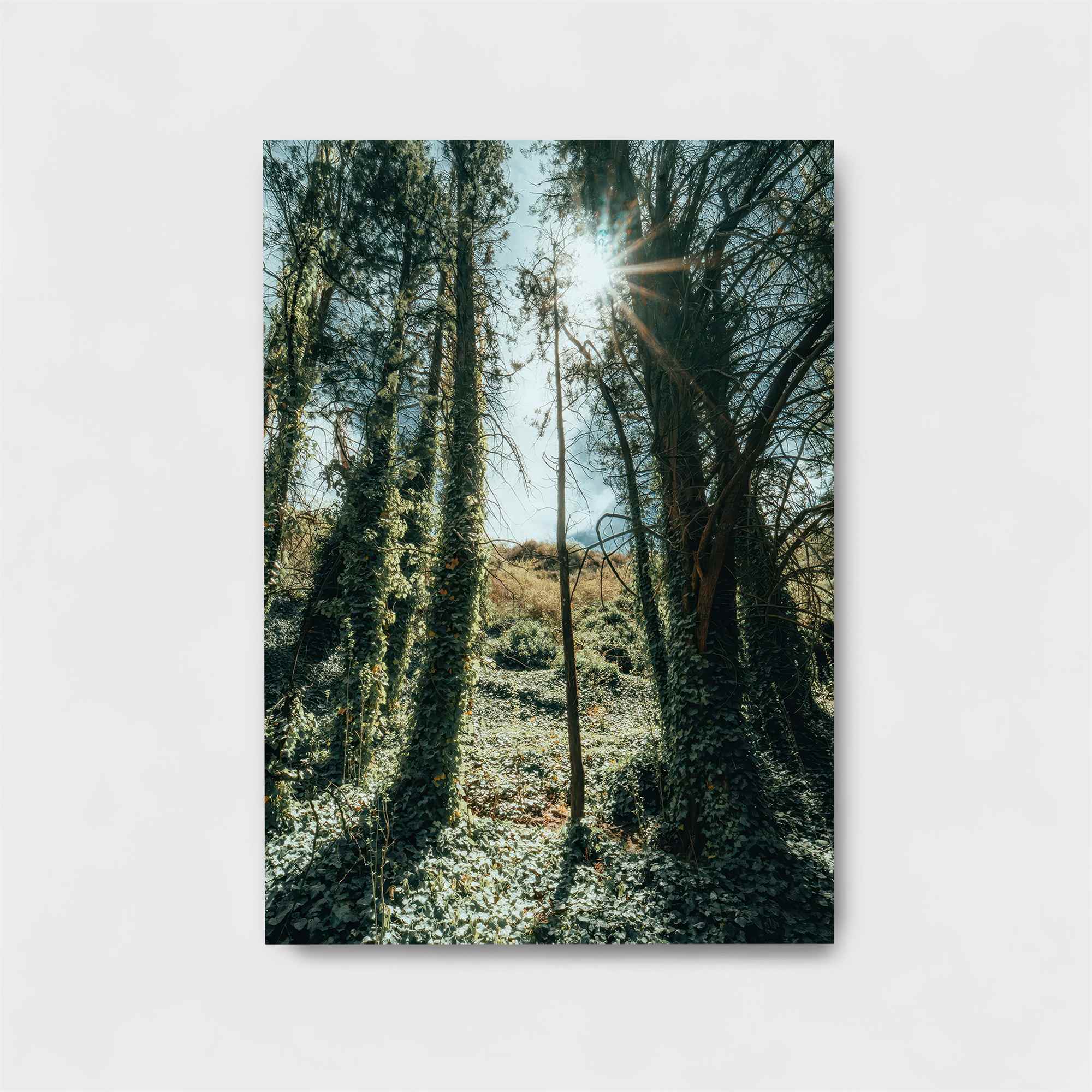 Sunlit Escape Safe Wall Magnetic / M