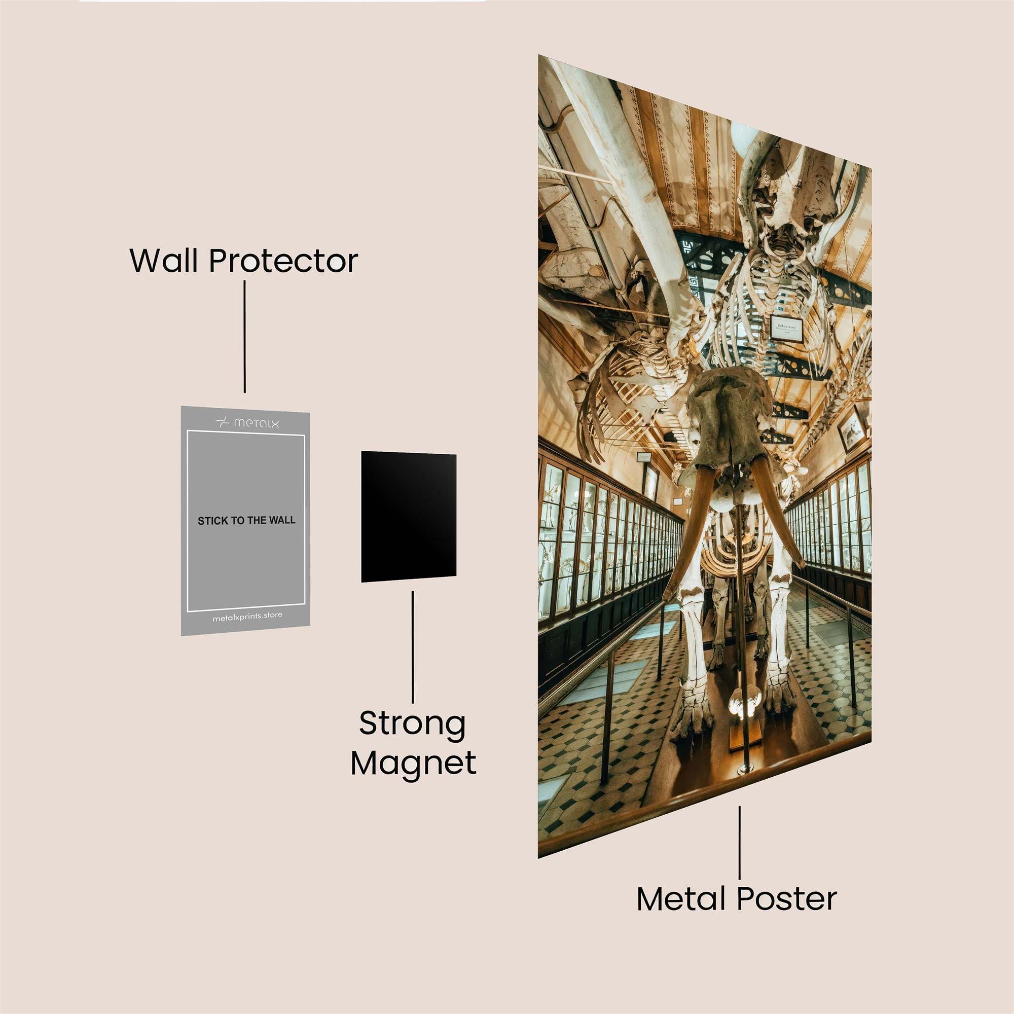 Mastodon Majestic Safe Wall Magnetic / M