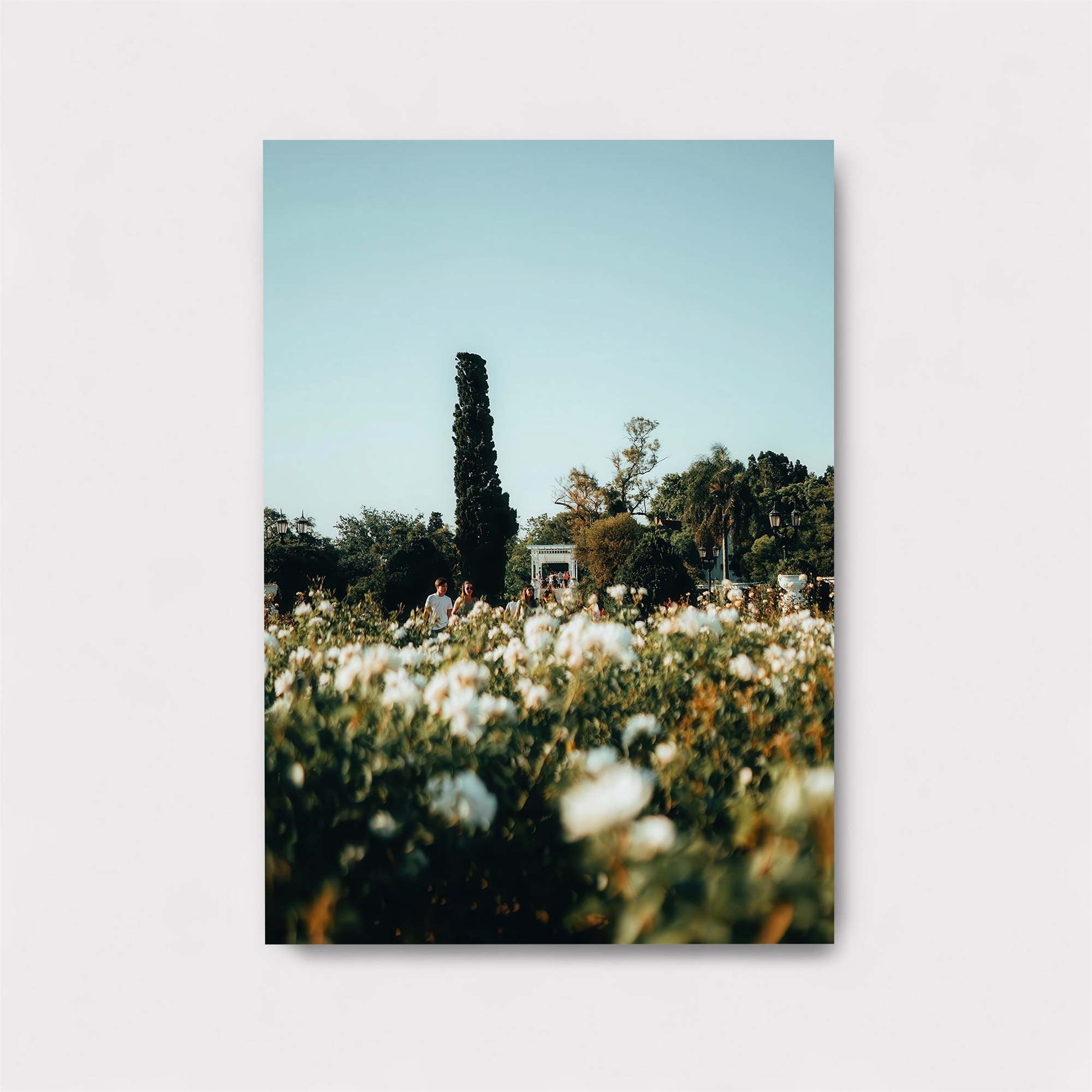 Cotton Serenity Safe Wall Magnetic / M