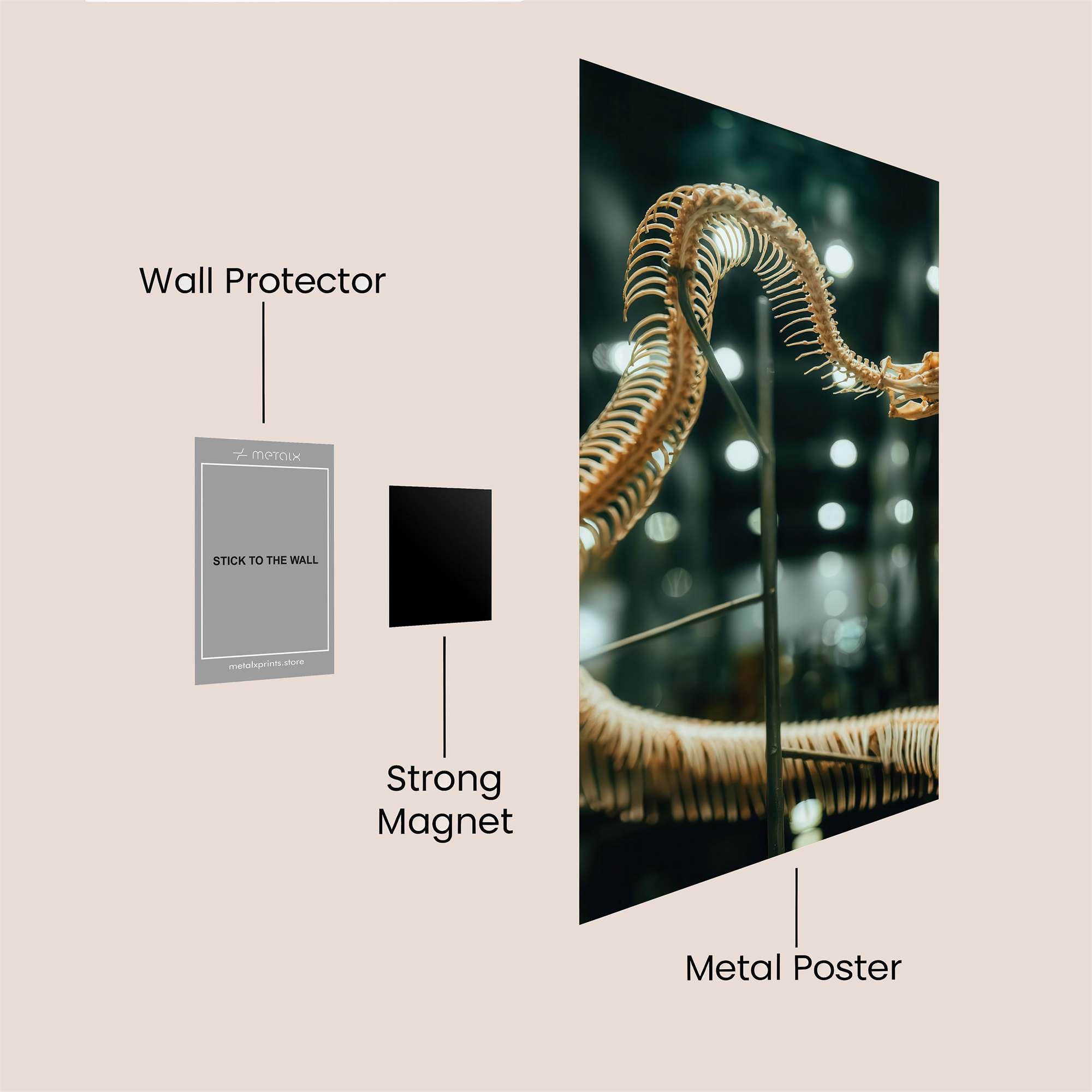 Pythonic Elegance Safe Wall Magnetic / M