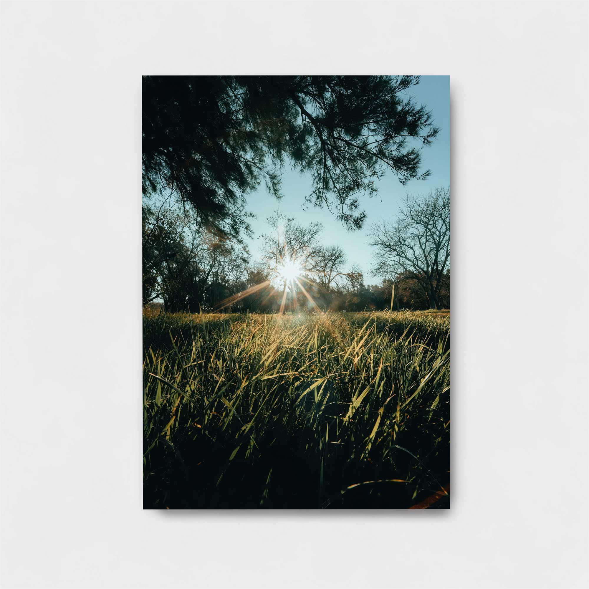 Sunrise Serenity Safe Wall Magnetic / M